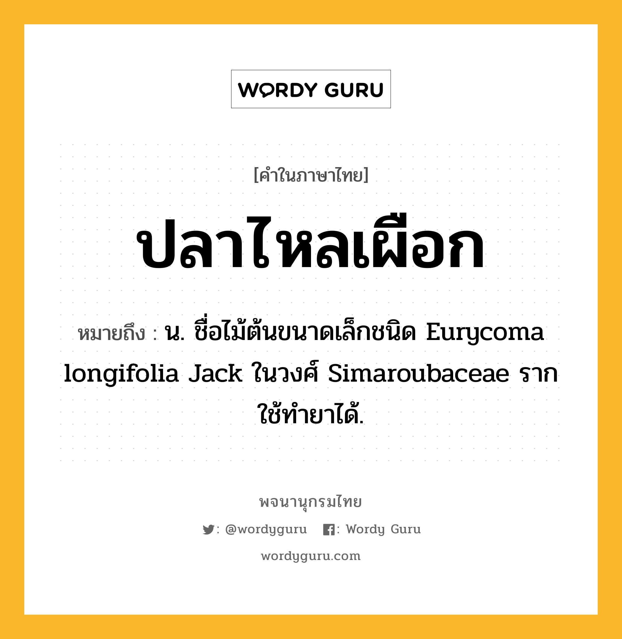 ปลาไหลเผือก ความหมาย หมายถึงอะไร?, คำในภาษาไทย ปลาไหลเผือก หมายถึง น. ชื่อไม้ต้นขนาดเล็กชนิด Eurycoma longifolia Jack ในวงศ์ Simaroubaceae รากใช้ทํายาได้.