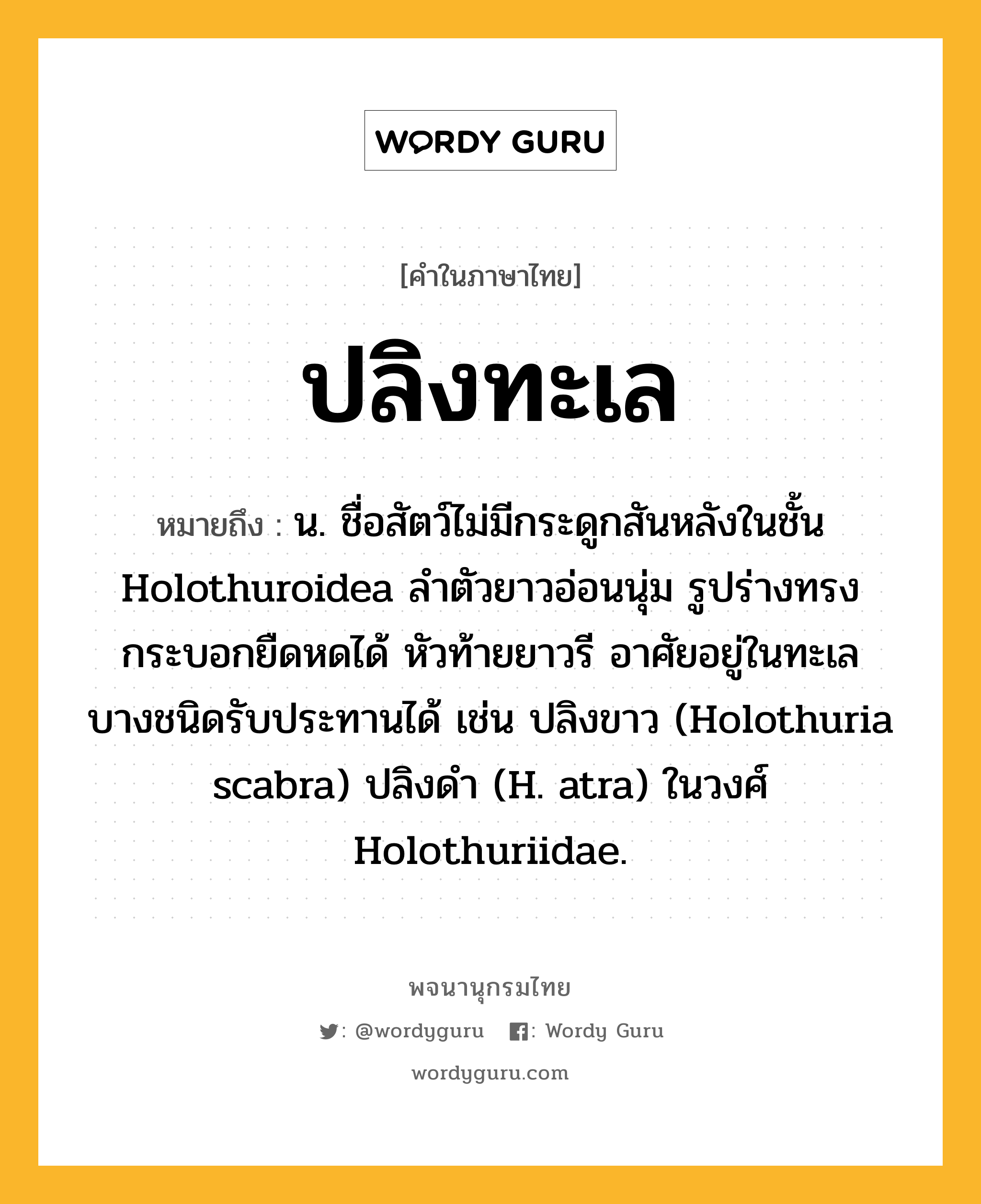 ปลิงทะเล ความหมาย หมายถึงอะไร?, คำในภาษาไทย ปลิงทะเล หมายถึง น. ชื่อสัตว์ไม่มีกระดูกสันหลังในชั้น Holothuroidea ลำตัวยาวอ่อนนุ่ม รูปร่างทรงกระบอกยืดหดได้ หัวท้ายยาวรี อาศัยอยู่ในทะเล บางชนิดรับประทานได้ เช่น ปลิงขาว (Holothuria scabra) ปลิงดํา (H. atra) ในวงศ์ Holothuriidae.