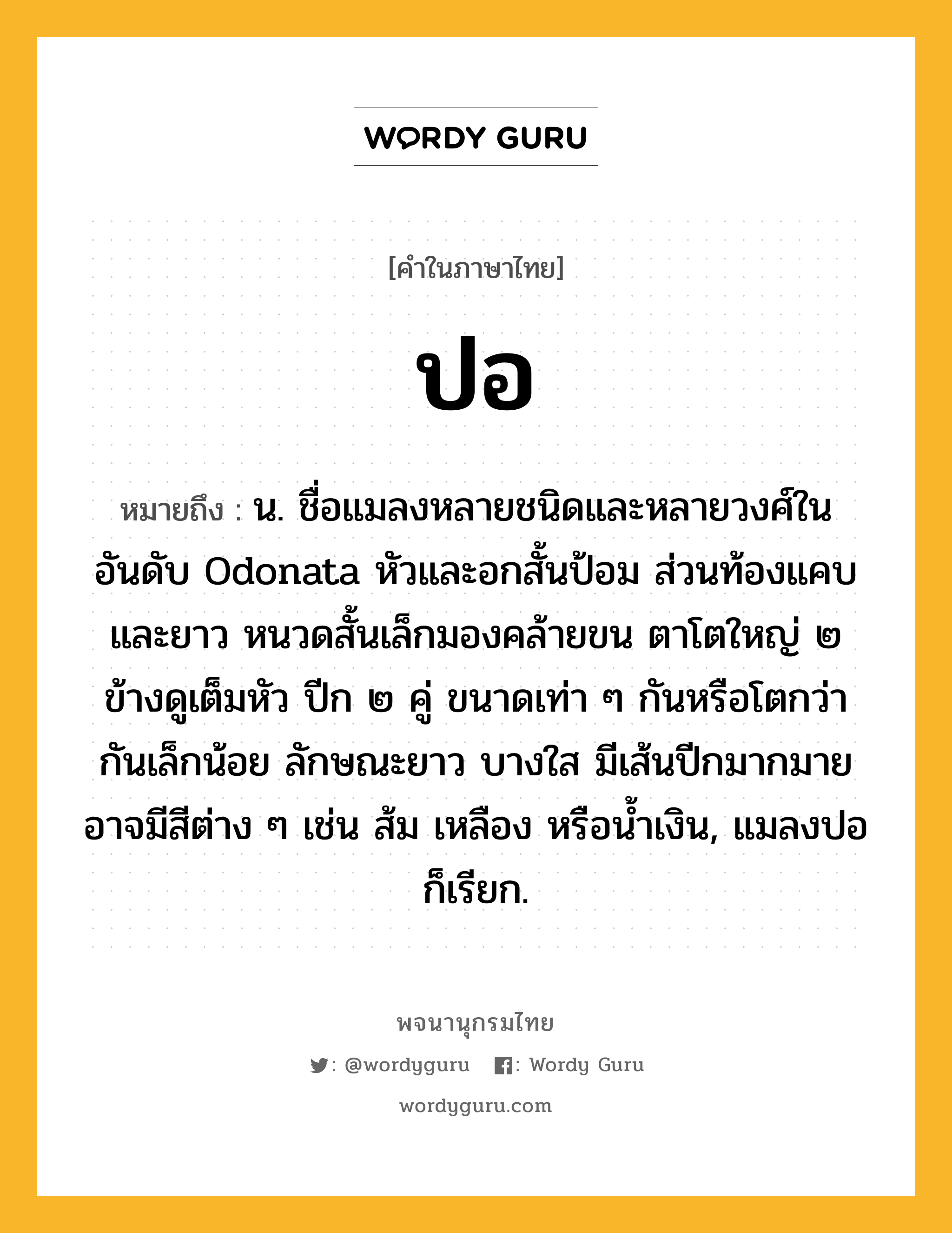 ปอ ความหมาย หมายถึงอะไร?, คำในภาษาไทย ปอ หมายถึง น. ชื่อแมลงหลายชนิดและหลายวงศ์ในอันดับ Odonata หัวและอกสั้นป้อม ส่วนท้องแคบและยาว หนวดสั้นเล็กมองคล้ายขน ตาโตใหญ่ ๒ ข้างดูเต็มหัว ปีก ๒ คู่ ขนาดเท่า ๆ กันหรือโตกว่ากันเล็กน้อย ลักษณะยาว บางใส มีเส้นปีกมากมาย อาจมีสีต่าง ๆ เช่น ส้ม เหลือง หรือนํ้าเงิน, แมลงปอ ก็เรียก.