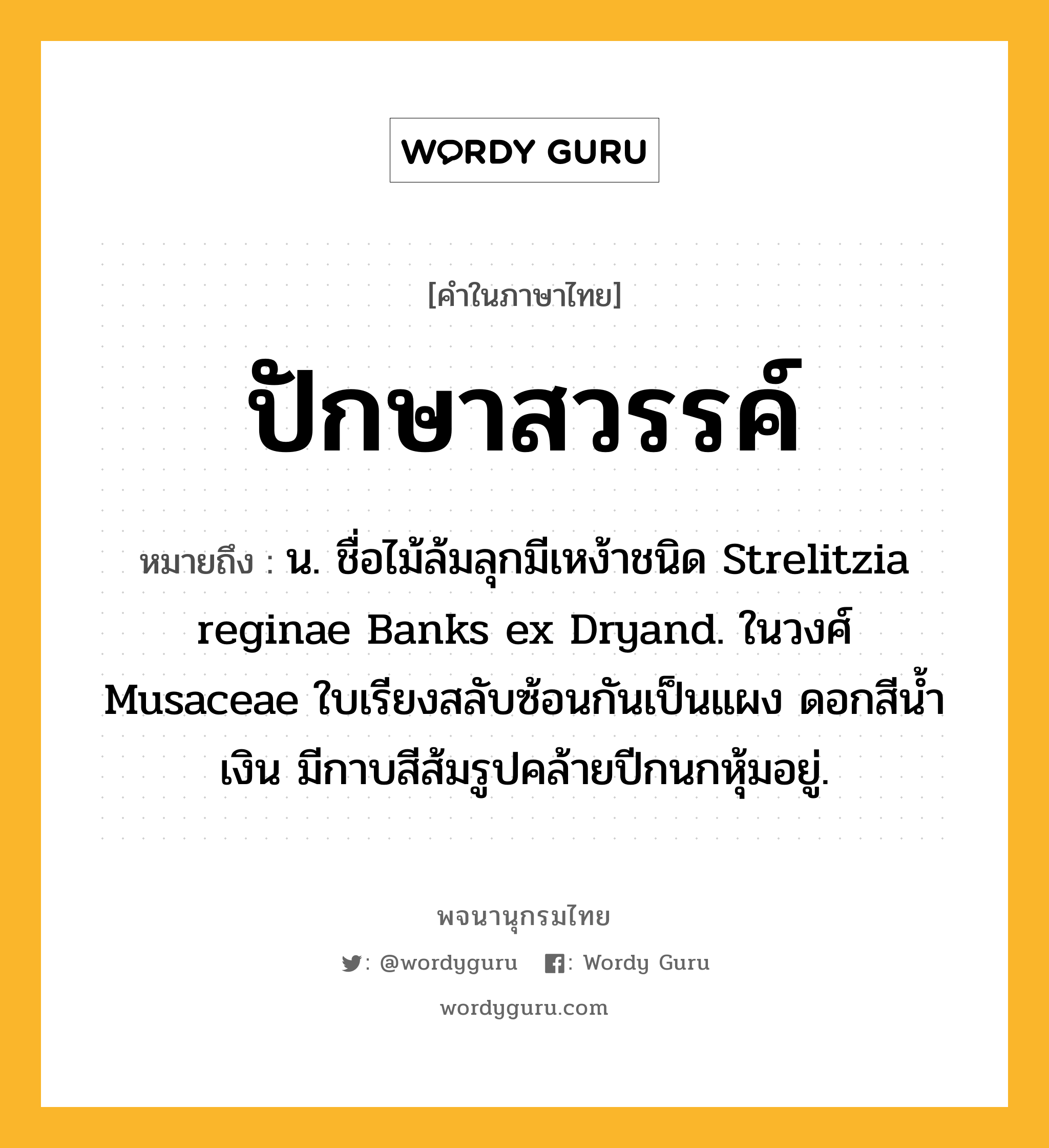 ปักษาสวรรค์ ความหมาย หมายถึงอะไร?, คำในภาษาไทย ปักษาสวรรค์ หมายถึง น. ชื่อไม้ล้มลุกมีเหง้าชนิด Strelitzia reginae Banks ex Dryand. ในวงศ์ Musaceae ใบเรียงสลับซ้อนกันเป็นแผง ดอกสีนํ้าเงิน มีกาบสีส้มรูปคล้ายปีกนกหุ้มอยู่.