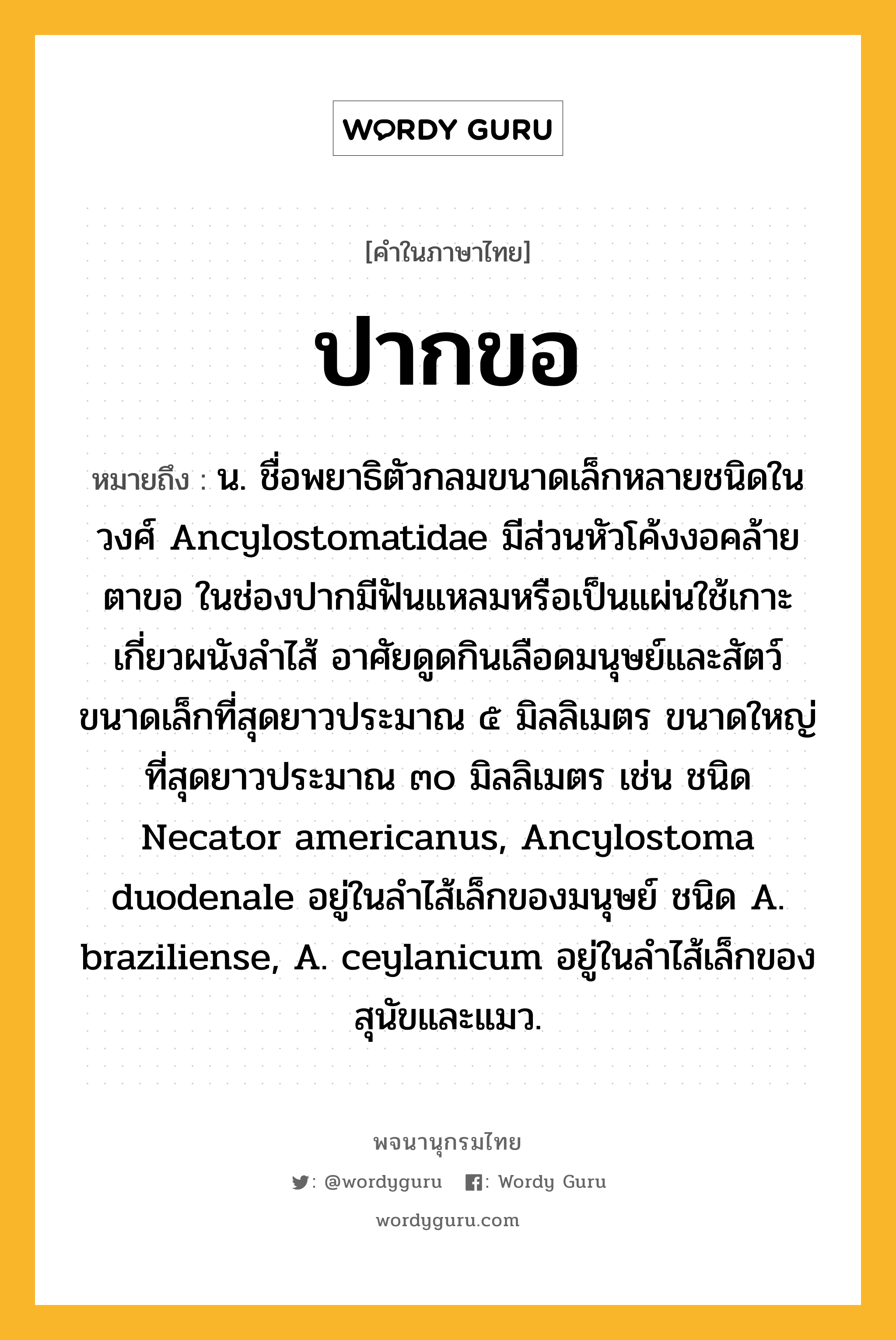 ปากขอ ความหมาย หมายถึงอะไร?, คำในภาษาไทย ปากขอ หมายถึง น. ชื่อพยาธิตัวกลมขนาดเล็กหลายชนิดในวงศ์ Ancylostomatidae มีส่วนหัวโค้งงอคล้ายตาขอ ในช่องปากมีฟันแหลมหรือเป็นแผ่นใช้เกาะเกี่ยวผนังลำไส้ อาศัยดูดกินเลือดมนุษย์และสัตว์ ขนาดเล็กที่สุดยาวประมาณ ๕ มิลลิเมตร ขนาดใหญ่ที่สุดยาวประมาณ ๓๐ มิลลิเมตร เช่น ชนิด Necator americanus, Ancylostoma duodenale อยู่ในลำไส้เล็กของมนุษย์ ชนิด A. braziliense, A. ceylanicum อยู่ในลำไส้เล็กของสุนัขและแมว.