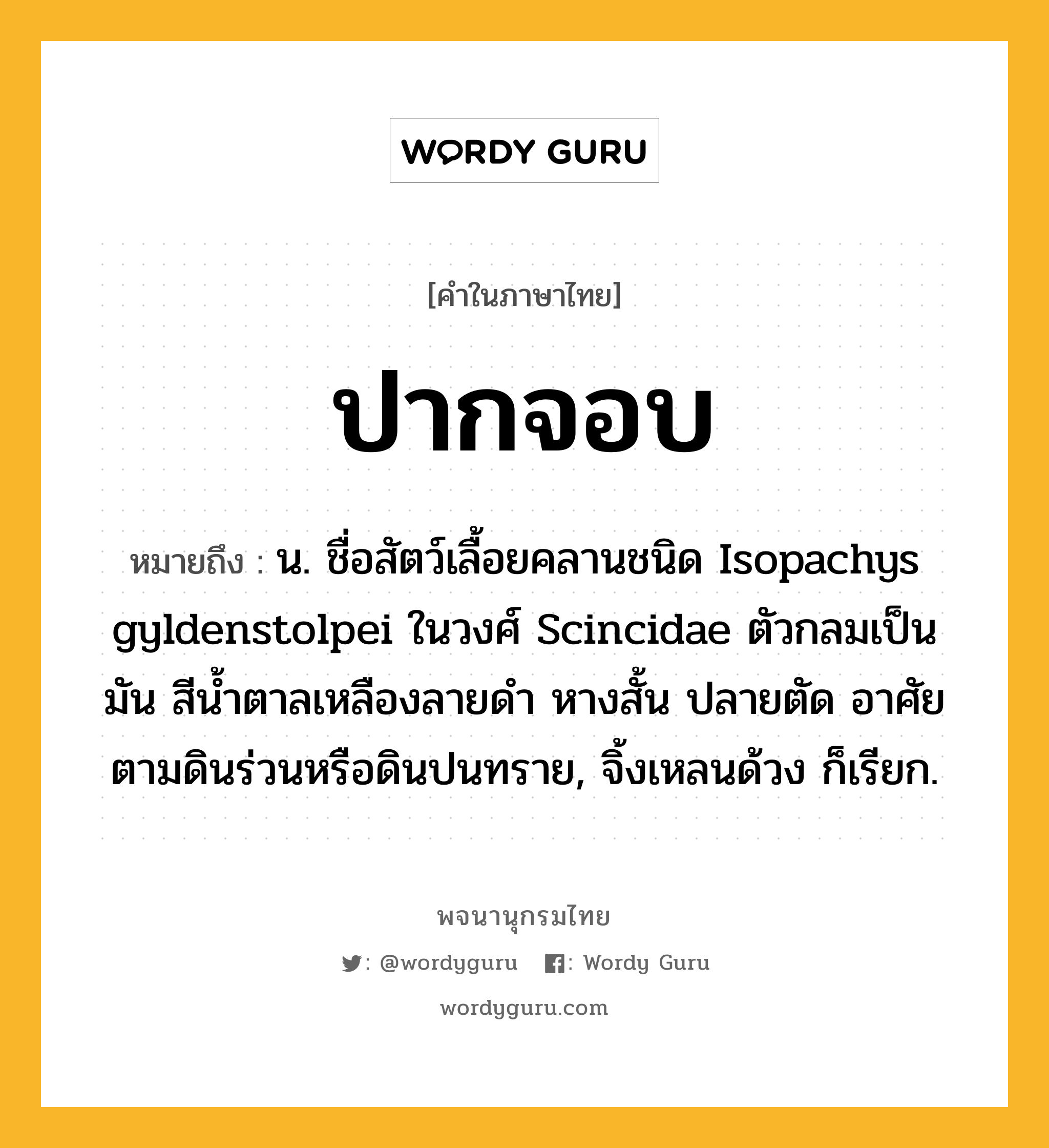 ปากจอบ ความหมาย หมายถึงอะไร?, คำในภาษาไทย ปากจอบ หมายถึง น. ชื่อสัตว์เลื้อยคลานชนิด Isopachys gyldenstolpei ในวงศ์ Scincidae ตัวกลมเป็นมัน สีนํ้าตาลเหลืองลายดํา หางสั้น ปลายตัด อาศัยตามดินร่วนหรือดินปนทราย, จิ้งเหลนด้วง ก็เรียก.