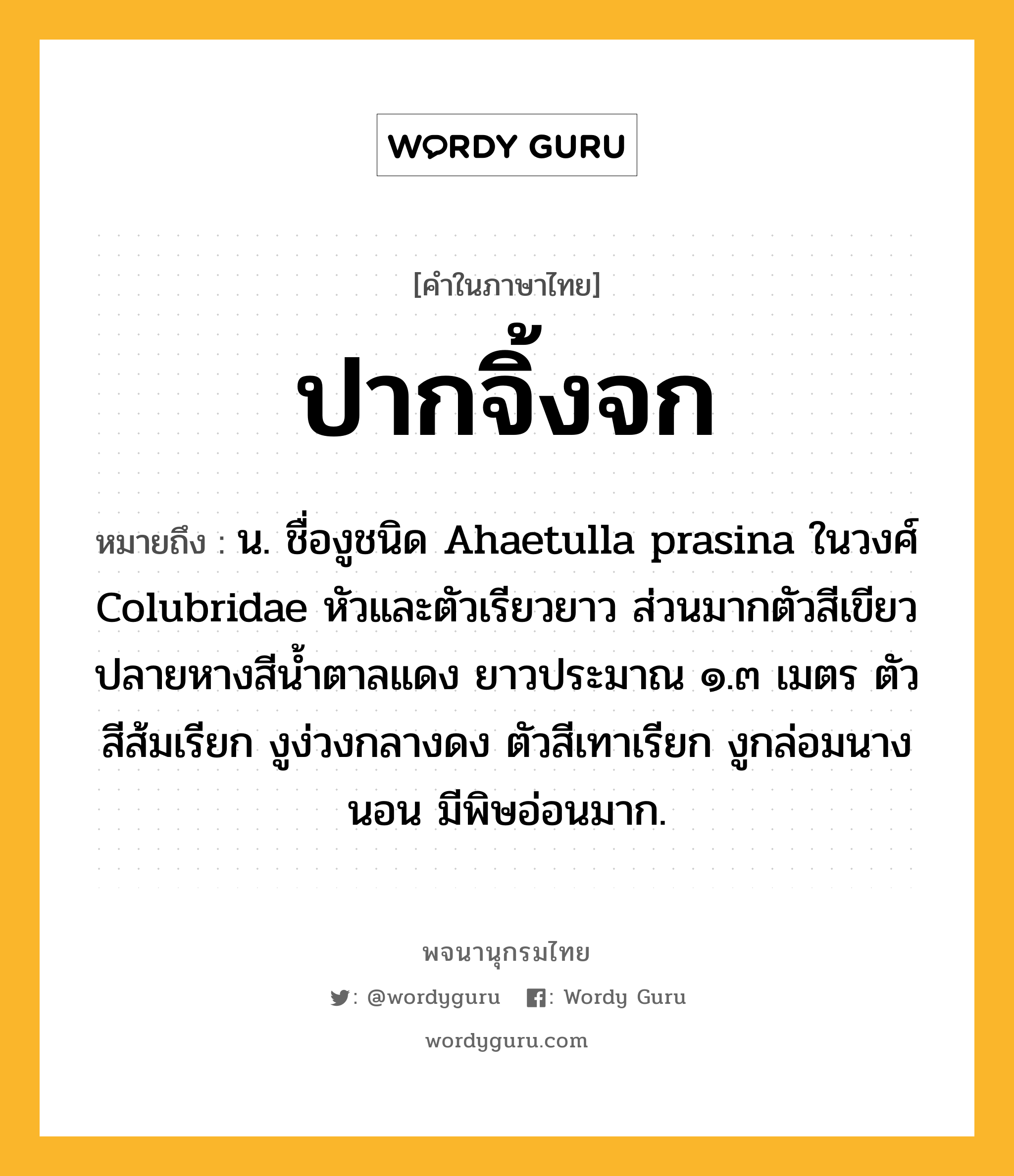 ปากจิ้งจก ความหมาย หมายถึงอะไร?, คำในภาษาไทย ปากจิ้งจก หมายถึง น. ชื่องูชนิด Ahaetulla prasina ในวงศ์ Colubridae หัวและตัวเรียวยาว ส่วนมากตัวสีเขียวปลายหางสีนํ้าตาลแดง ยาวประมาณ ๑.๓ เมตร ตัวสีส้มเรียก งูง่วงกลางดง ตัวสีเทาเรียก งูกล่อมนางนอน มีพิษอ่อนมาก.