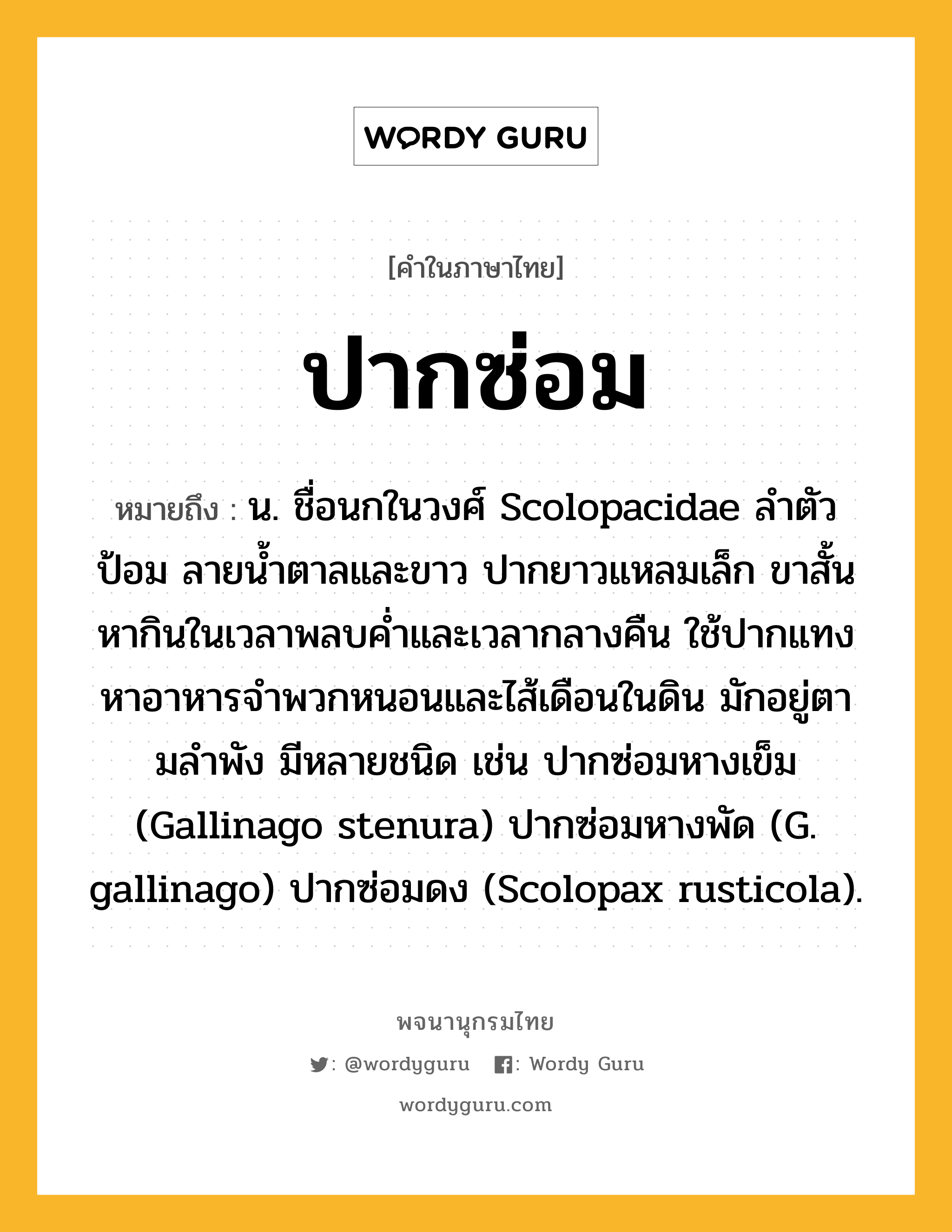 ปากซ่อม ความหมาย หมายถึงอะไร?, คำในภาษาไทย ปากซ่อม หมายถึง น. ชื่อนกในวงศ์ Scolopacidae ลําตัวป้อม ลายนํ้าตาลและขาว ปากยาวแหลมเล็ก ขาสั้น หากินในเวลาพลบคํ่าและเวลากลางคืน ใช้ปากแทงหาอาหารจําพวกหนอนและไส้เดือนในดิน มักอยู่ตามลําพัง มีหลายชนิด เช่น ปากซ่อมหางเข็ม (Gallinago stenura) ปากซ่อมหางพัด (G. gallinago) ปากซ่อมดง (Scolopax rusticola).