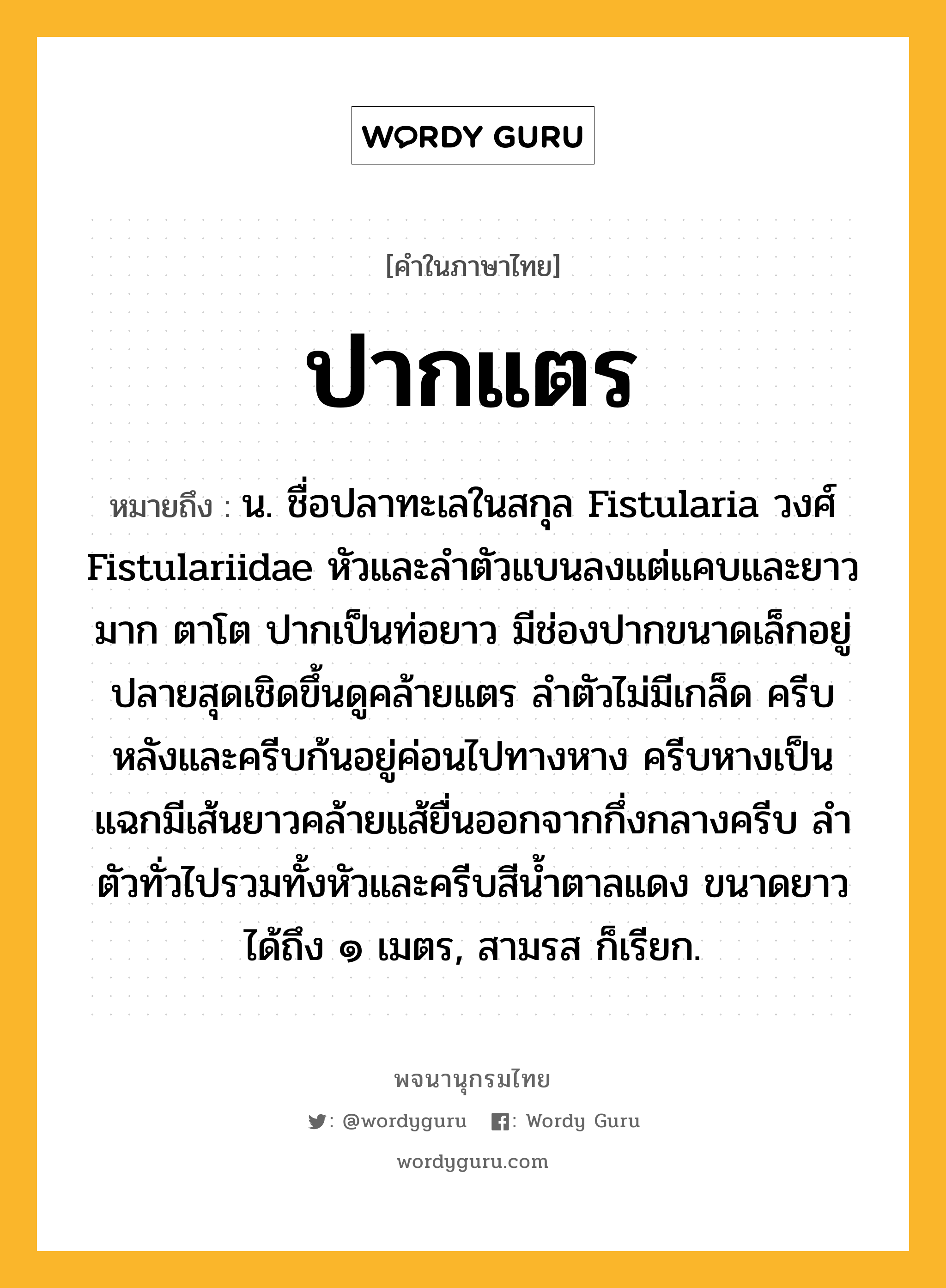 ปากแตร ความหมาย หมายถึงอะไร?, คำในภาษาไทย ปากแตร หมายถึง น. ชื่อปลาทะเลในสกุล Fistularia วงศ์ Fistulariidae หัวและลําตัวแบนลงแต่แคบและยาวมาก ตาโต ปากเป็นท่อยาว มีช่องปากขนาดเล็กอยู่ปลายสุดเชิดขึ้นดูคล้ายแตร ลําตัวไม่มีเกล็ด ครีบหลังและครีบก้นอยู่ค่อนไปทางหาง ครีบหางเป็นแฉกมีเส้นยาวคล้ายแส้ยื่นออกจากกึ่งกลางครีบ ลําตัวทั่วไปรวมทั้งหัวและครีบสีนํ้าตาลแดง ขนาดยาวได้ถึง ๑ เมตร, สามรส ก็เรียก.