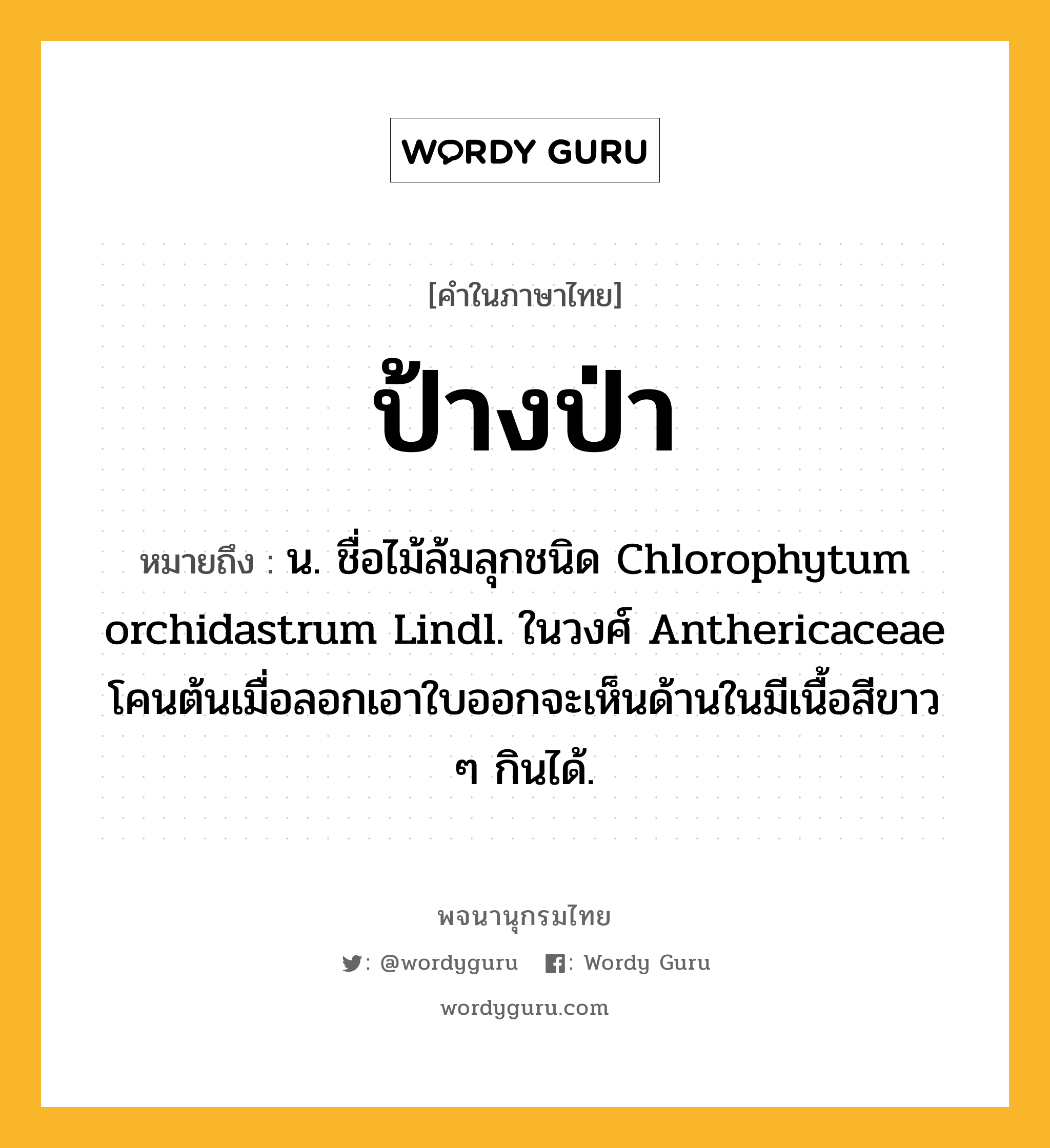 ป้างป่า ความหมาย หมายถึงอะไร?, คำในภาษาไทย ป้างป่า หมายถึง น. ชื่อไม้ล้มลุกชนิด Chlorophytum orchidastrum Lindl. ในวงศ์ Anthericaceae โคนต้นเมื่อลอกเอาใบออกจะเห็นด้านในมีเนื้อสีขาว ๆ กินได้.