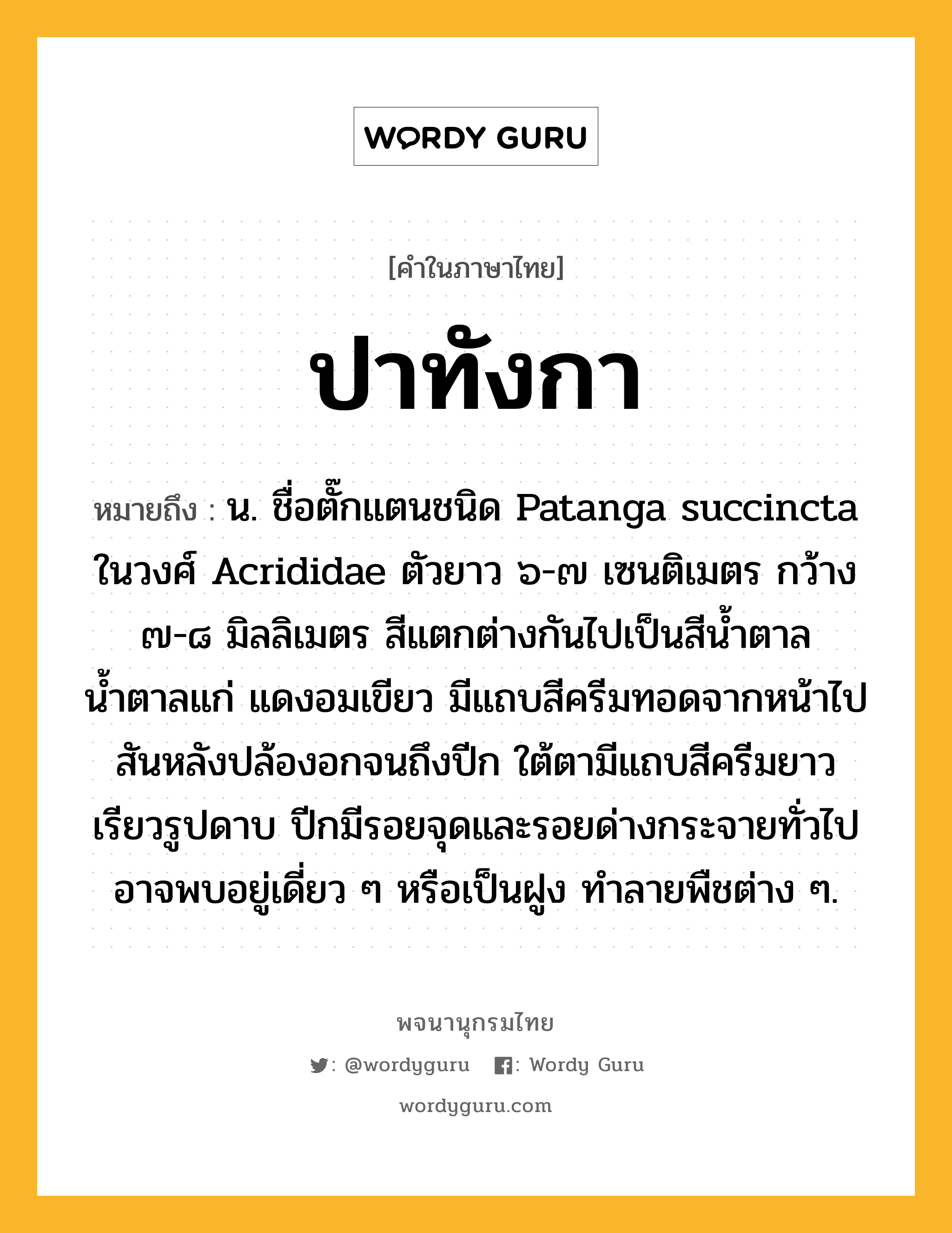 ปาทังกา ความหมาย หมายถึงอะไร?, คำในภาษาไทย ปาทังกา หมายถึง น. ชื่อตั๊กแตนชนิด Patanga succincta ในวงศ์ Acrididae ตัวยาว ๖-๗ เซนติเมตร กว้าง ๗-๘ มิลลิเมตร สีแตกต่างกันไปเป็นสีนํ้าตาล น้ำตาลแก่ แดงอมเขียว มีแถบสีครีมทอดจากหน้าไปสันหลังปล้องอกจนถึงปีก ใต้ตามีแถบสีครีมยาวเรียวรูปดาบ ปีกมีรอยจุดและรอยด่างกระจายทั่วไป อาจพบอยู่เดี่ยว ๆ หรือเป็นฝูง ทําลายพืชต่าง ๆ.