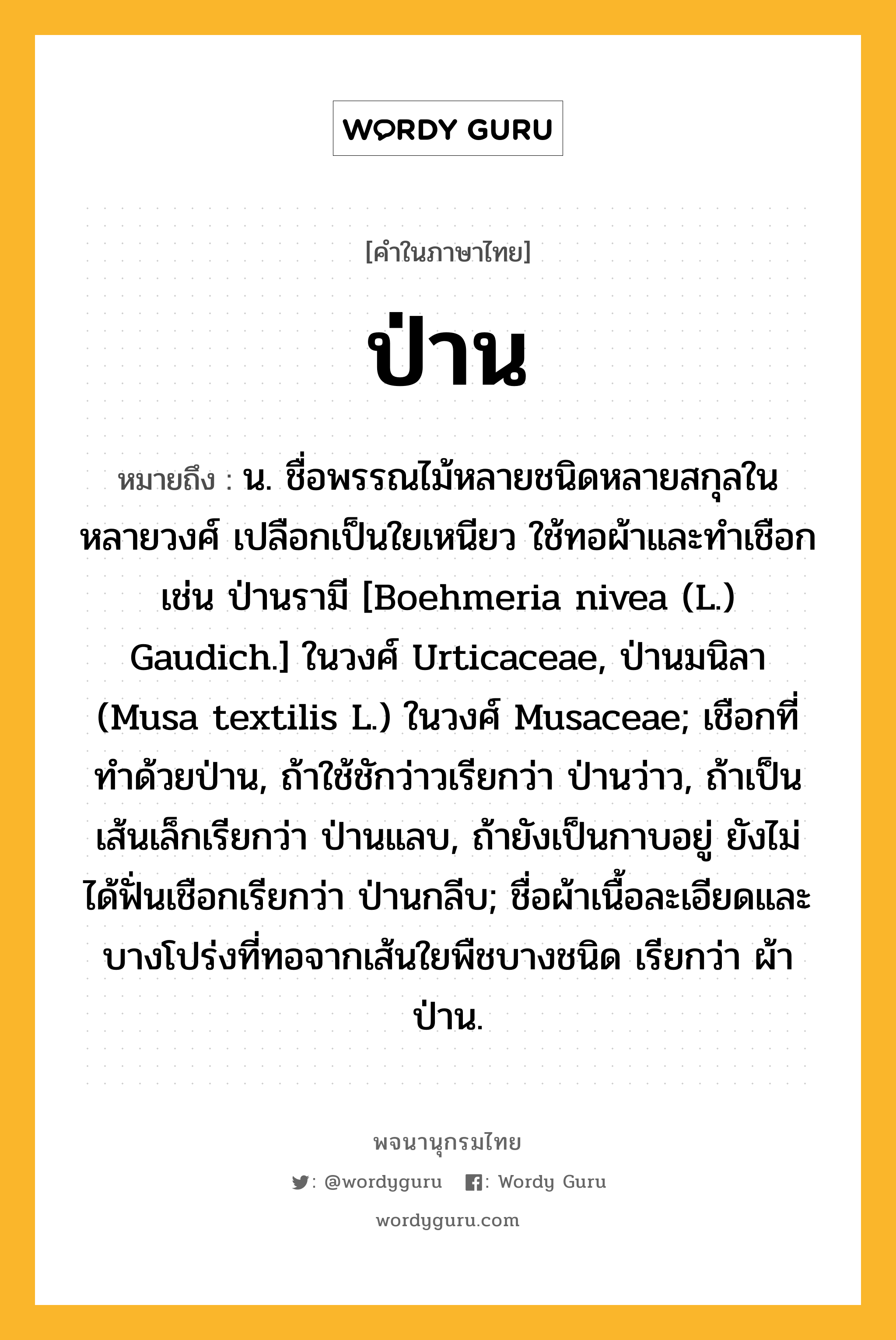 ป่าน ความหมาย หมายถึงอะไร?, คำในภาษาไทย ป่าน หมายถึง น. ชื่อพรรณไม้หลายชนิดหลายสกุลในหลายวงศ์ เปลือกเป็นใยเหนียว ใช้ทอผ้าและทําเชือก เช่น ป่านรามี [Boehmeria nivea (L.) Gaudich.] ในวงศ์ Urticaceae, ป่านมนิลา (Musa textilis L.) ในวงศ์ Musaceae; เชือกที่ทําด้วยป่าน, ถ้าใช้ชักว่าวเรียกว่า ป่านว่าว, ถ้าเป็นเส้นเล็กเรียกว่า ป่านแลบ, ถ้ายังเป็นกาบอยู่ ยังไม่ได้ฟั่นเชือกเรียกว่า ป่านกลีบ; ชื่อผ้าเนื้อละเอียดและบางโปร่งที่ทอจากเส้นใยพืชบางชนิด เรียกว่า ผ้าป่าน.