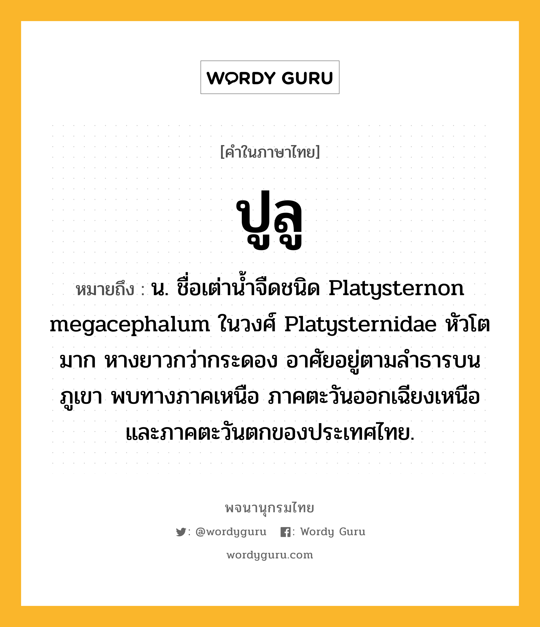 ปูลู ความหมาย หมายถึงอะไร?, คำในภาษาไทย ปูลู หมายถึง น. ชื่อเต่านํ้าจืดชนิด Platysternon megacephalum ในวงศ์ Platysternidae หัวโตมาก หางยาวกว่ากระดอง อาศัยอยู่ตามลําธารบนภูเขา พบทางภาคเหนือ ภาคตะวันออกเฉียงเหนือ และภาคตะวันตกของประเทศไทย.