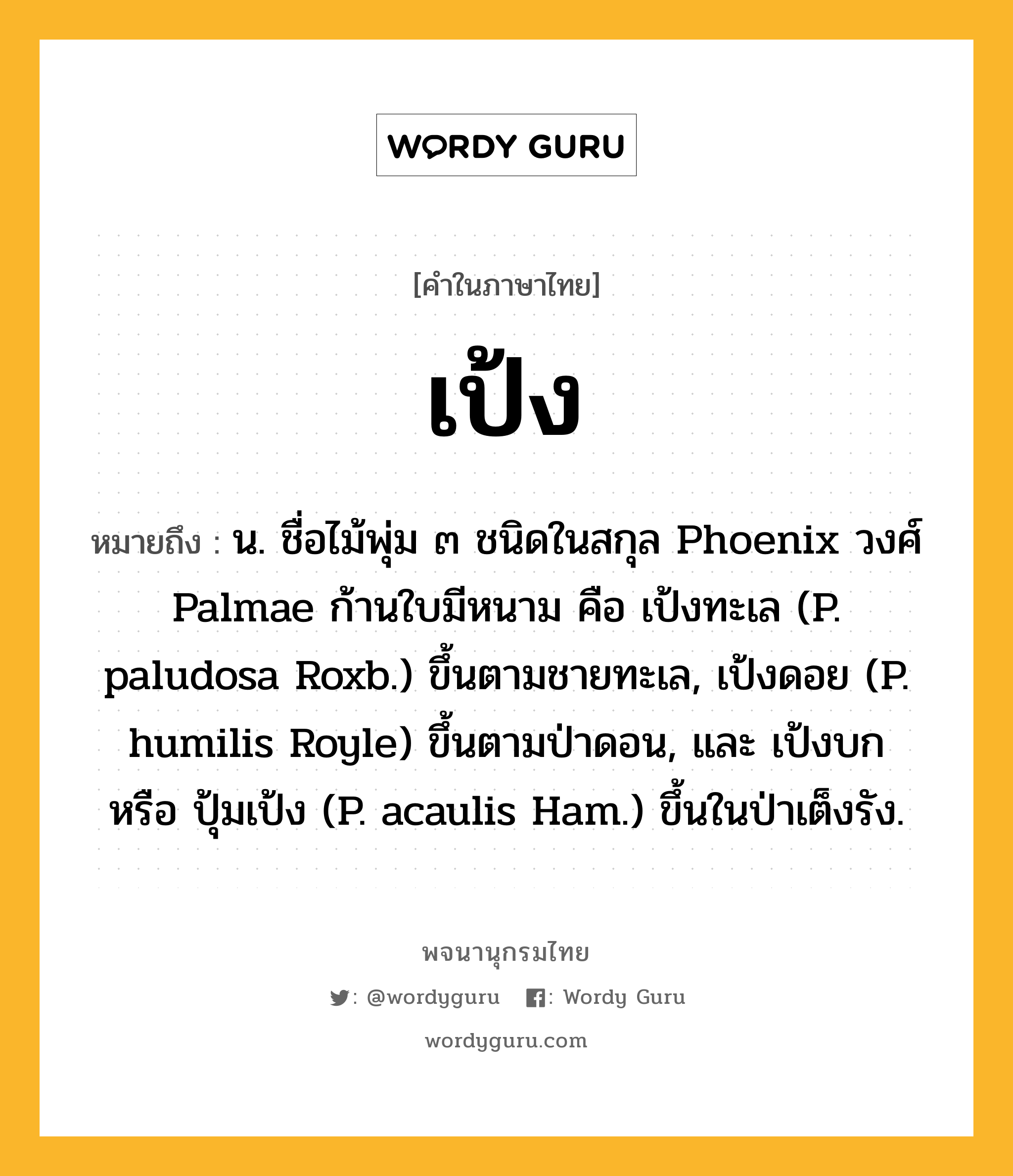 เป้ง ความหมาย หมายถึงอะไร?, คำในภาษาไทย เป้ง หมายถึง น. ชื่อไม้พุ่ม ๓ ชนิดในสกุล Phoenix วงศ์ Palmae ก้านใบมีหนาม คือ เป้งทะเล (P. paludosa Roxb.) ขึ้นตามชายทะเล, เป้งดอย (P. humilis Royle) ขึ้นตามป่าดอน, และ เป้งบก หรือ ปุ้มเป้ง (P. acaulis Ham.) ขึ้นในป่าเต็งรัง.