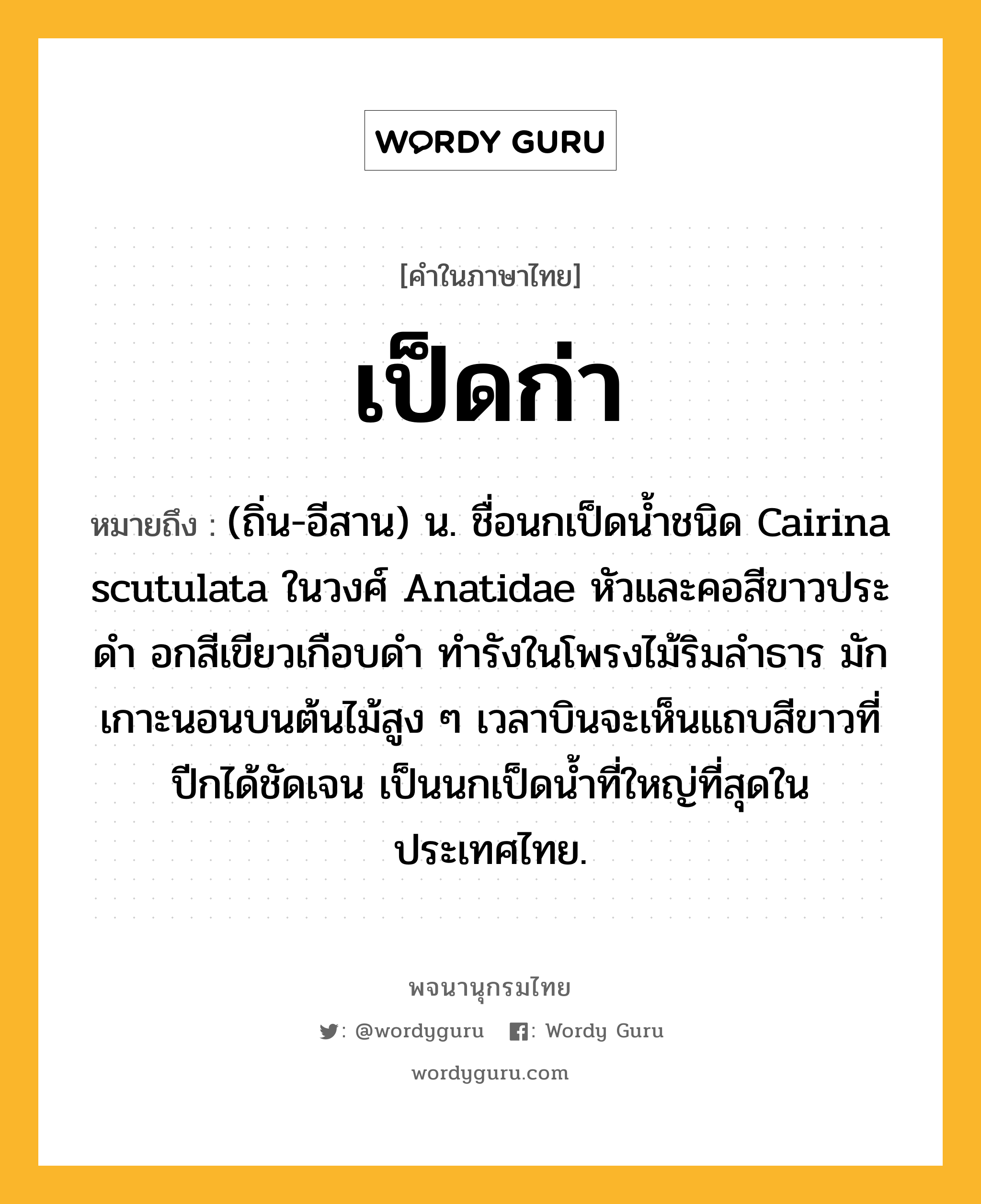 เป็ดก่า ความหมาย หมายถึงอะไร?, คำในภาษาไทย เป็ดก่า หมายถึง (ถิ่น-อีสาน) น. ชื่อนกเป็ดนํ้าชนิด Cairina scutulata ในวงศ์ Anatidae หัวและคอสีขาวประดํา อกสีเขียวเกือบดํา ทํารังในโพรงไม้ริมลําธาร มักเกาะนอนบนต้นไม้สูง ๆ เวลาบินจะเห็นแถบสีขาวที่ปีกได้ชัดเจน เป็นนกเป็ดนํ้าที่ใหญ่ที่สุดในประเทศไทย.