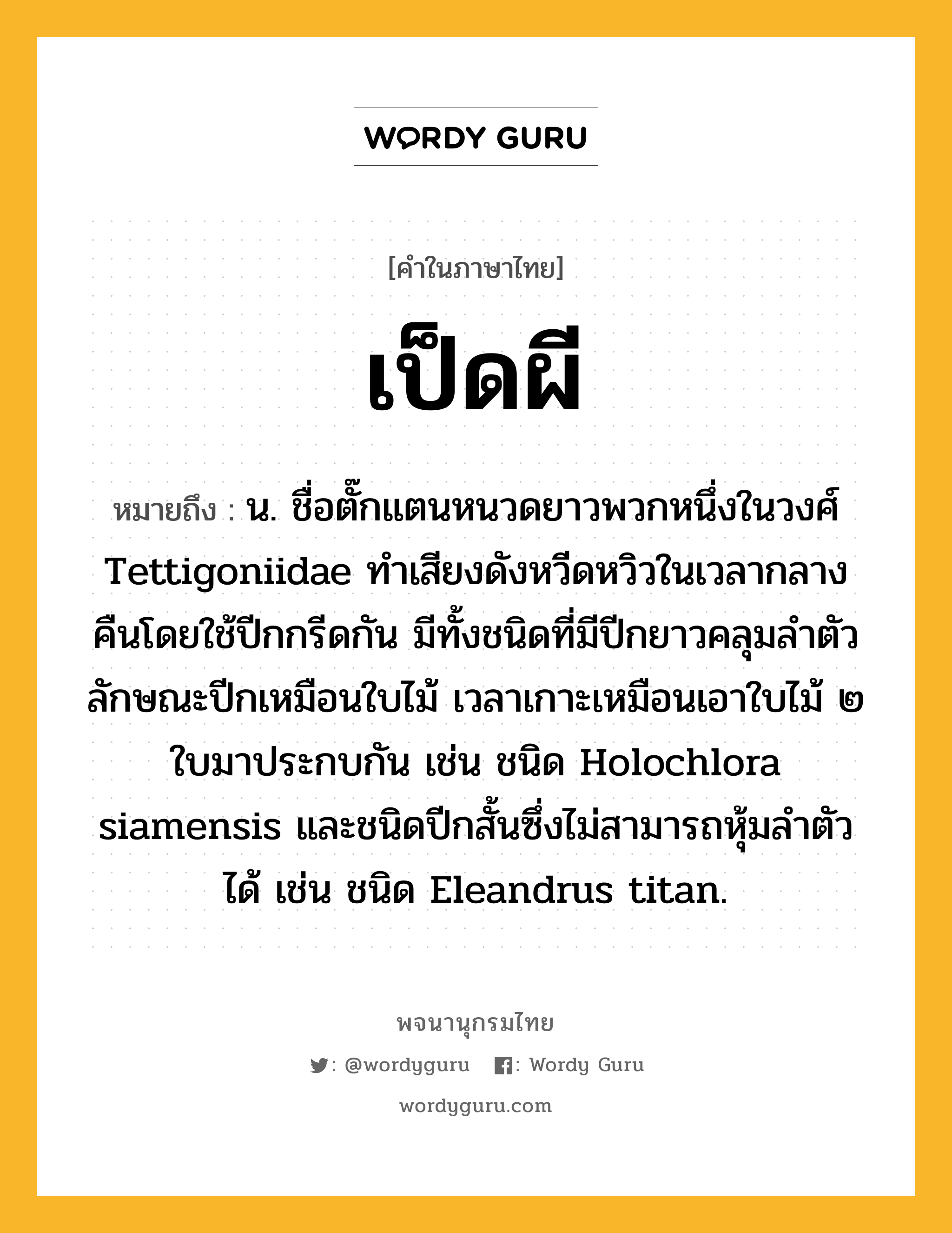 เป็ดผี ความหมาย หมายถึงอะไร?, คำในภาษาไทย เป็ดผี หมายถึง น. ชื่อตั๊กแตนหนวดยาวพวกหนึ่งในวงศ์ Tettigoniidae ทําเสียงดังหวีดหวิวในเวลากลางคืนโดยใช้ปีกกรีดกัน มีทั้งชนิดที่มีปีกยาวคลุมลําตัว ลักษณะปีกเหมือนใบไม้ เวลาเกาะเหมือนเอาใบไม้ ๒ ใบมาประกบกัน เช่น ชนิด Holochlora siamensis และชนิดปีกสั้นซึ่งไม่สามารถหุ้มลําตัวได้ เช่น ชนิด Eleandrus titan.