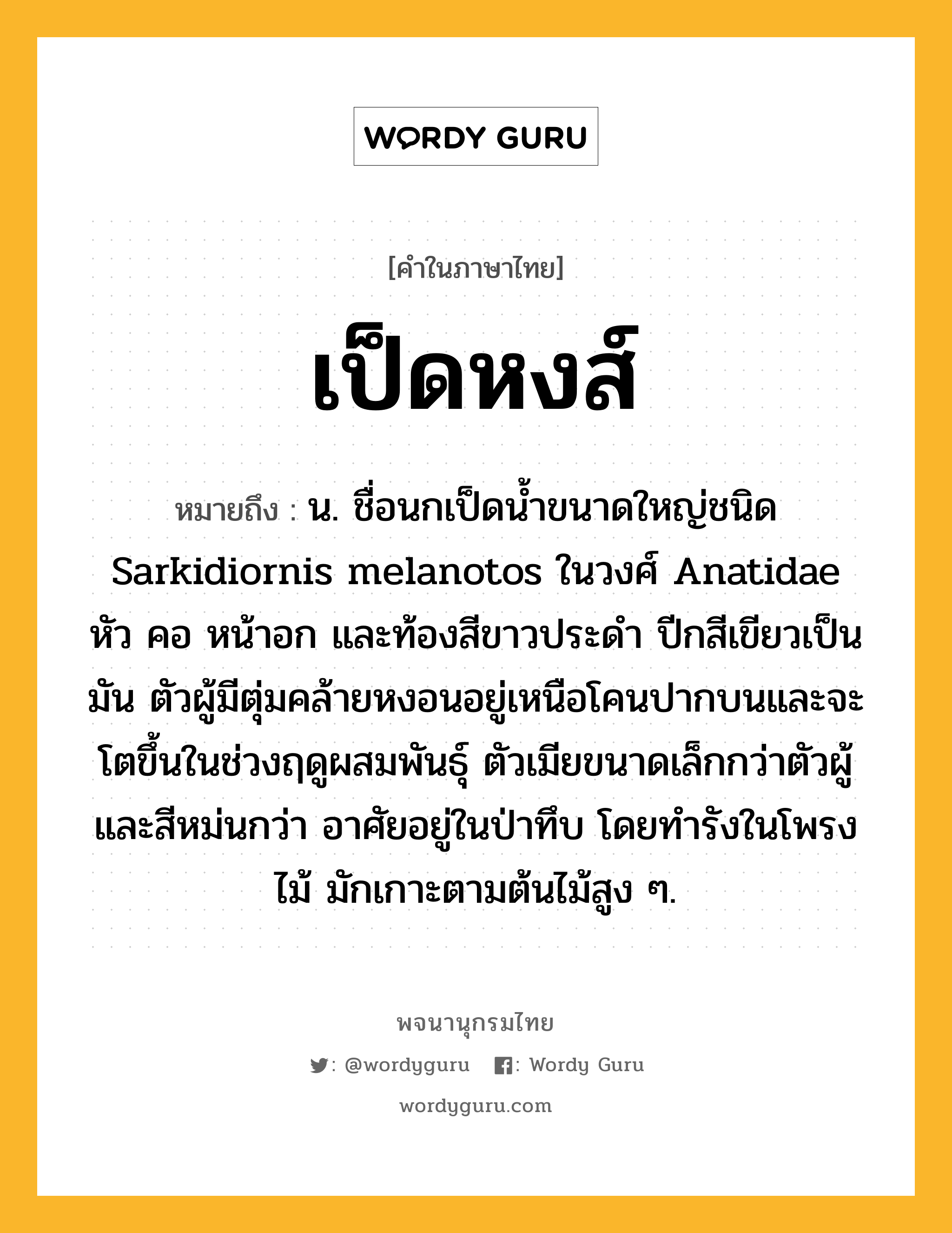 เป็ดหงส์ ความหมาย หมายถึงอะไร?, คำในภาษาไทย เป็ดหงส์ หมายถึง น. ชื่อนกเป็ดนํ้าขนาดใหญ่ชนิด Sarkidiornis melanotos ในวงศ์ Anatidae หัว คอ หน้าอก และท้องสีขาวประดํา ปีกสีเขียวเป็นมัน ตัวผู้มีตุ่มคล้ายหงอนอยู่เหนือโคนปากบนและจะโตขึ้นในช่วงฤดูผสมพันธุ์ ตัวเมียขนาดเล็กกว่าตัวผู้และสีหม่นกว่า อาศัยอยู่ในป่าทึบ โดยทํารังในโพรงไม้ มักเกาะตามต้นไม้สูง ๆ.