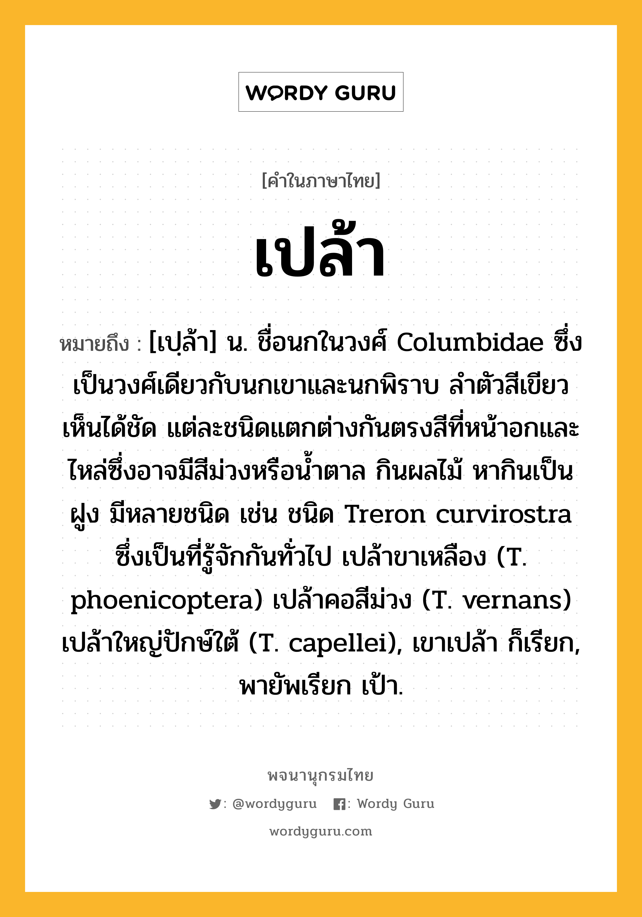 เปล้า ความหมาย หมายถึงอะไร?, คำในภาษาไทย เปล้า หมายถึง [เปฺล้า] น. ชื่อนกในวงศ์ Columbidae ซึ่งเป็นวงศ์เดียวกับนกเขาและนกพิราบ ลําตัวสีเขียวเห็นได้ชัด แต่ละชนิดแตกต่างกันตรงสีที่หน้าอกและไหล่ซึ่งอาจมีสีม่วงหรือนํ้าตาล กินผลไม้ หากินเป็นฝูง มีหลายชนิด เช่น ชนิด Treron curvirostra ซึ่งเป็นที่รู้จักกันทั่วไป เปล้าขาเหลือง (T. phoenicoptera) เปล้าคอสีม่วง (T. vernans) เปล้าใหญ่ปักษ์ใต้ (T. capellei), เขาเปล้า ก็เรียก, พายัพเรียก เป้า.