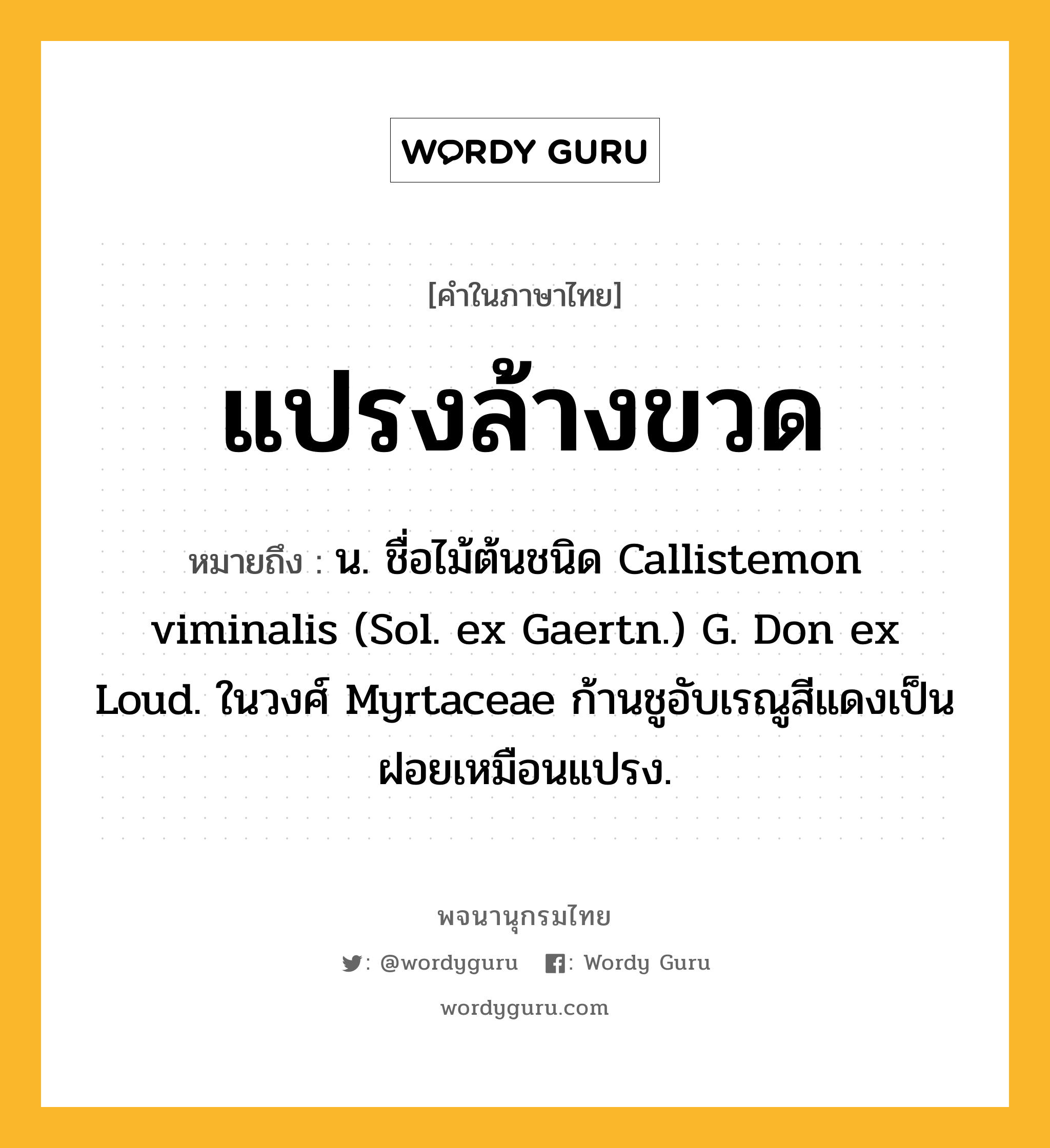 แปรงล้างขวด ความหมาย หมายถึงอะไร?, คำในภาษาไทย แปรงล้างขวด หมายถึง น. ชื่อไม้ต้นชนิด Callistemon viminalis (Sol. ex Gaertn.) G. Don ex Loud. ในวงศ์ Myrtaceae ก้านชูอับเรณูสีแดงเป็นฝอยเหมือนแปรง.