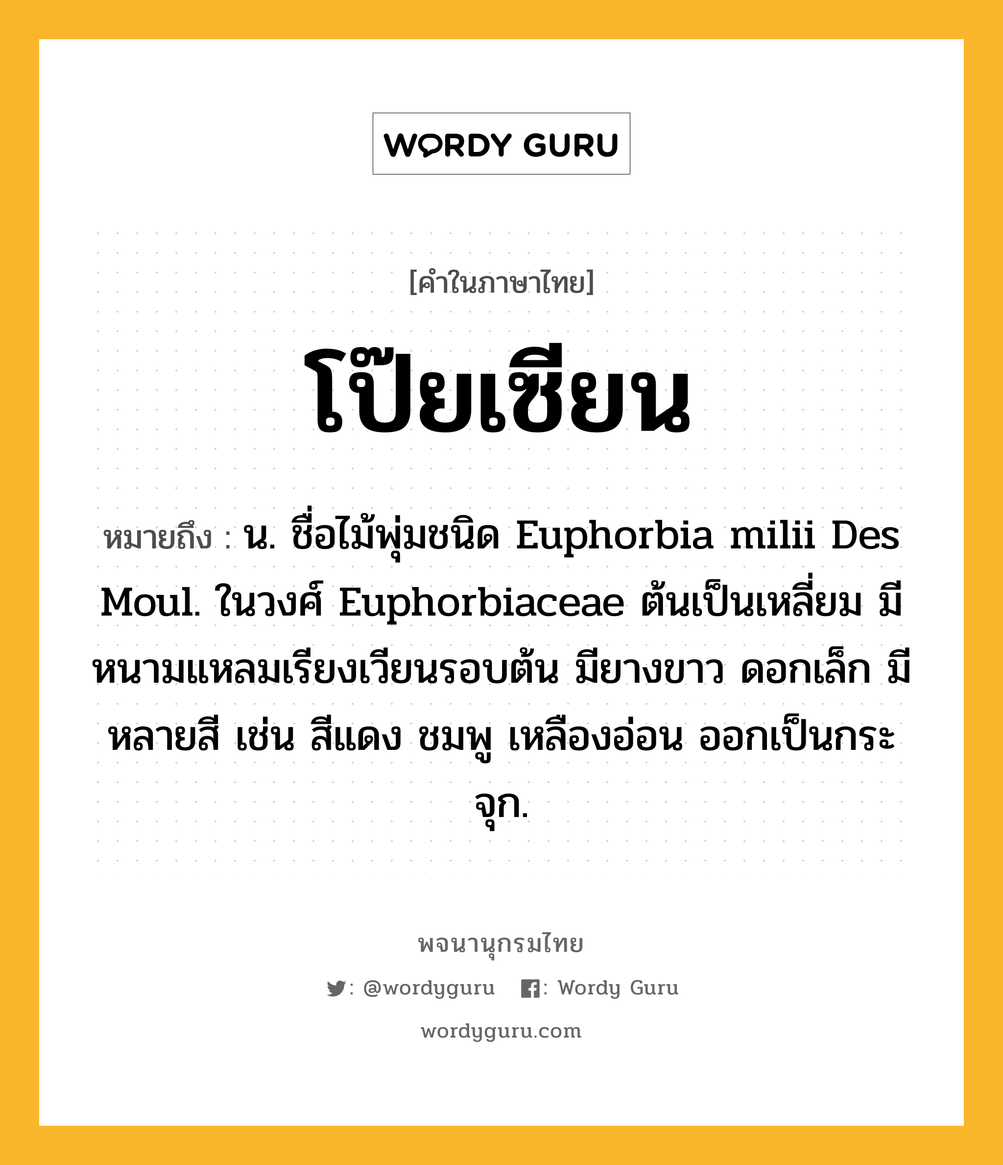 โป๊ยเซียน ความหมาย หมายถึงอะไร?, คำในภาษาไทย โป๊ยเซียน หมายถึง น. ชื่อไม้พุ่มชนิด Euphorbia milii Des Moul. ในวงศ์ Euphorbiaceae ต้นเป็นเหลี่ยม มีหนามแหลมเรียงเวียนรอบต้น มียางขาว ดอกเล็ก มีหลายสี เช่น สีแดง ชมพู เหลืองอ่อน ออกเป็นกระจุก.