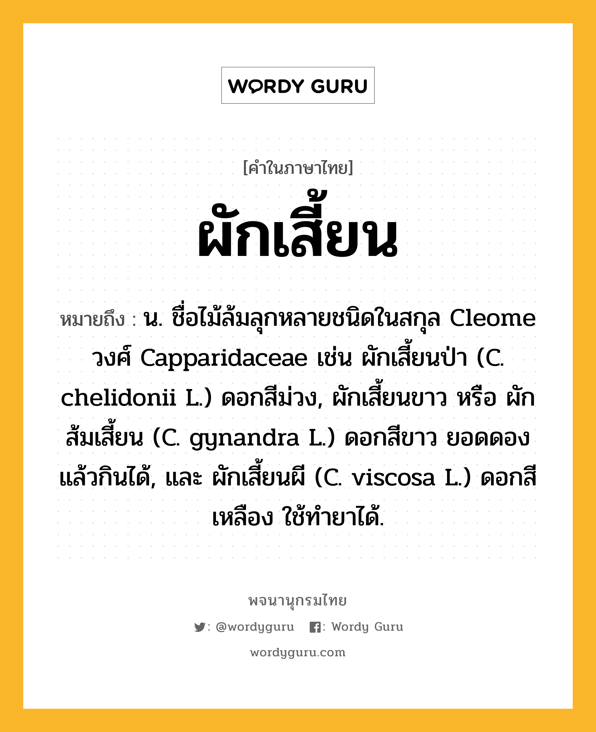 ผักเสี้ยน ความหมาย หมายถึงอะไร?, คำในภาษาไทย ผักเสี้ยน หมายถึง น. ชื่อไม้ล้มลุกหลายชนิดในสกุล Cleome วงศ์ Capparidaceae เช่น ผักเสี้ยนป่า (C. chelidonii L.) ดอกสีม่วง, ผักเสี้ยนขาว หรือ ผักส้มเสี้ยน (C. gynandra L.) ดอกสีขาว ยอดดองแล้วกินได้, และ ผักเสี้ยนผี (C. viscosa L.) ดอกสีเหลือง ใช้ทํายาได้.