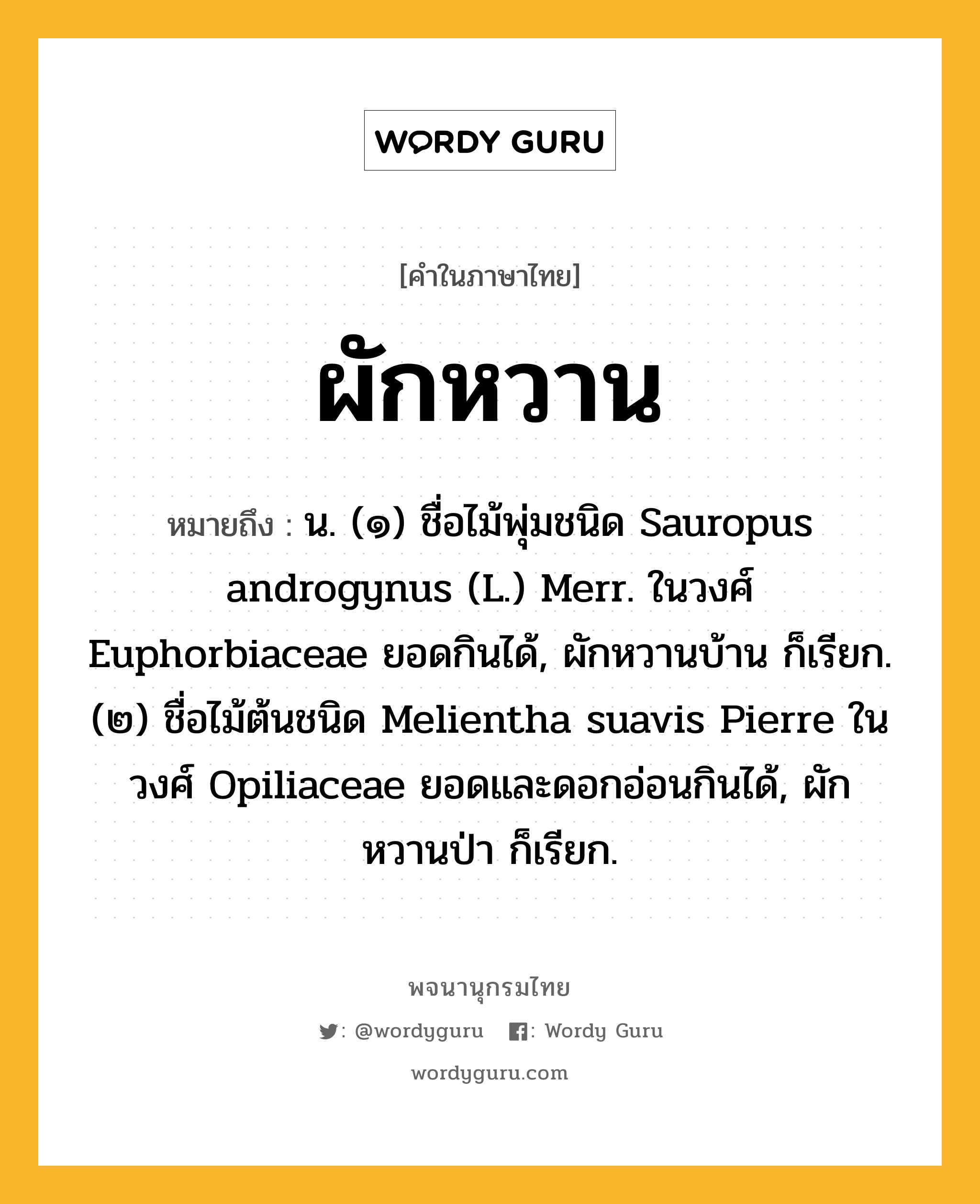 ผักหวาน ความหมาย หมายถึงอะไร?, คำในภาษาไทย ผักหวาน หมายถึง น. (๑) ชื่อไม้พุ่มชนิด Sauropus androgynus (L.) Merr. ในวงศ์ Euphorbiaceae ยอดกินได้, ผักหวานบ้าน ก็เรียก. (๒) ชื่อไม้ต้นชนิด Melientha suavis Pierre ในวงศ์ Opiliaceae ยอดและดอกอ่อนกินได้, ผักหวานป่า ก็เรียก.