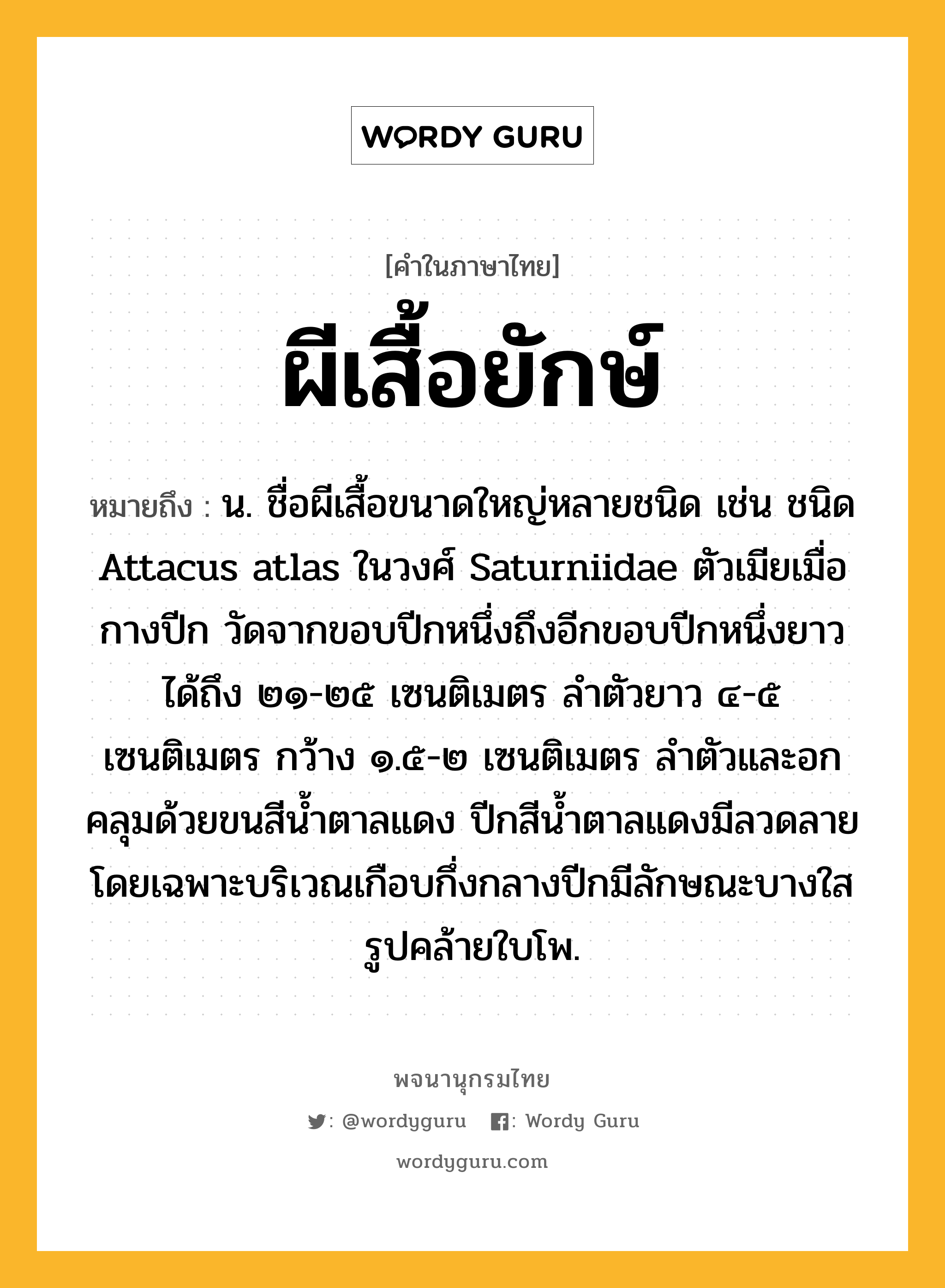 ผีเสื้อยักษ์ ความหมาย หมายถึงอะไร?, คำในภาษาไทย ผีเสื้อยักษ์ หมายถึง น. ชื่อผีเสื้อขนาดใหญ่หลายชนิด เช่น ชนิด Attacus atlas ในวงศ์ Saturniidae ตัวเมียเมื่อกางปีก วัดจากขอบปีกหนึ่งถึงอีกขอบปีกหนึ่งยาวได้ถึง ๒๑-๒๕ เซนติเมตร ลําตัวยาว ๔-๕ เซนติเมตร กว้าง ๑.๕-๒ เซนติเมตร ลําตัวและอกคลุมด้วยขนสีนํ้าตาลแดง ปีกสีนํ้าตาลแดงมีลวดลายโดยเฉพาะบริเวณเกือบกึ่งกลางปีกมีลักษณะบางใสรูปคล้ายใบโพ.