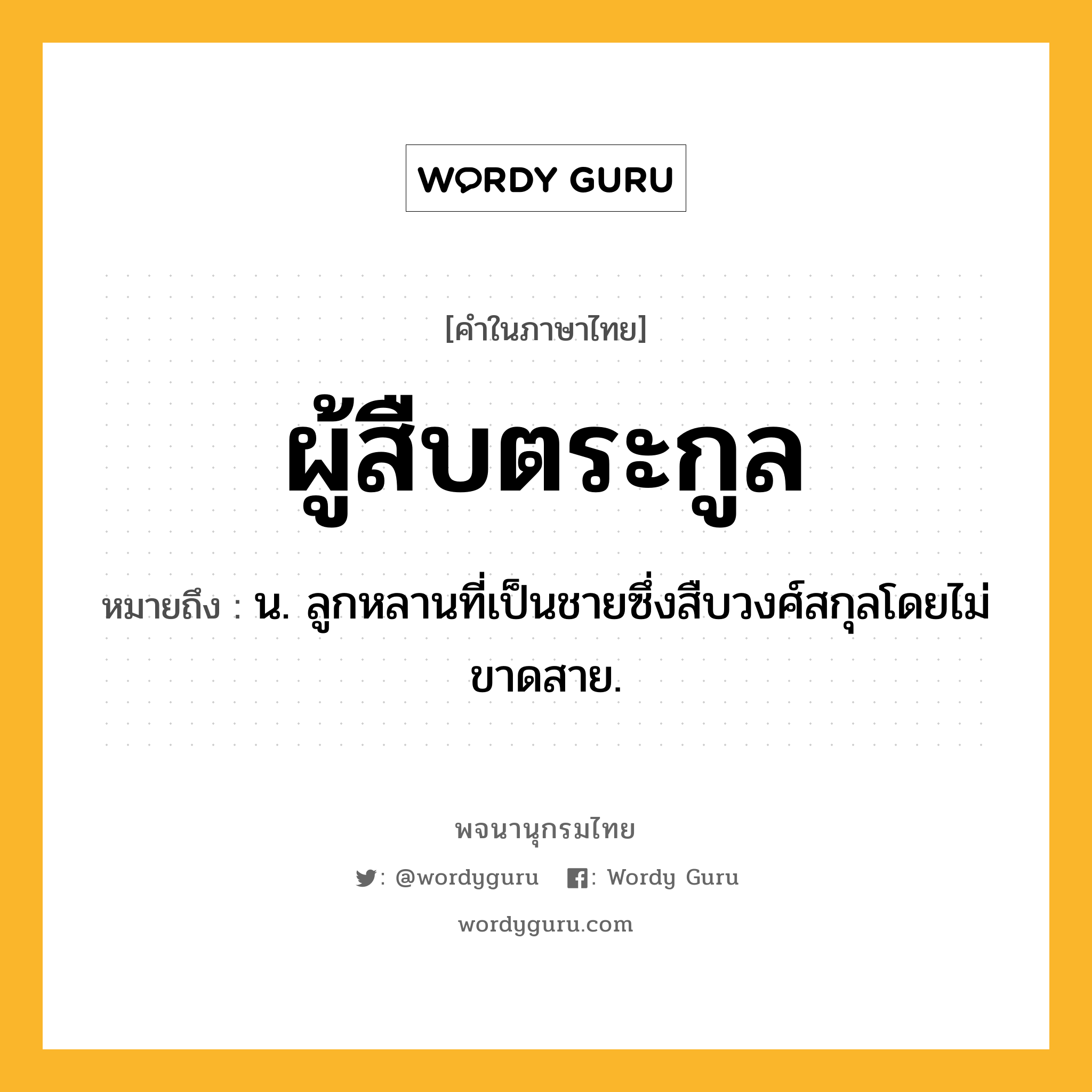 ผู้สืบตระกูล ความหมาย หมายถึงอะไร?, คำในภาษาไทย ผู้สืบตระกูล หมายถึง น. ลูกหลานที่เป็นชายซึ่งสืบวงศ์สกุลโดยไม่ขาดสาย.