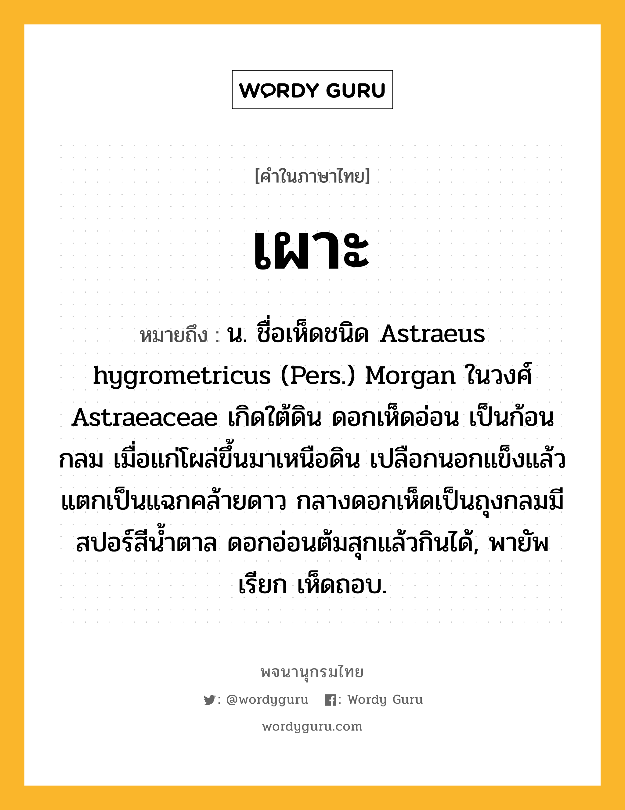 เผาะ ความหมาย หมายถึงอะไร?, คำในภาษาไทย เผาะ หมายถึง น. ชื่อเห็ดชนิด Astraeus hygrometricus (Pers.) Morgan ในวงศ์ Astraeaceae เกิดใต้ดิน ดอกเห็ดอ่อน เป็นก้อนกลม เมื่อแก่โผล่ขึ้นมาเหนือดิน เปลือกนอกแข็งแล้วแตกเป็นแฉกคล้ายดาว กลางดอกเห็ดเป็นถุงกลมมีสปอร์สีนํ้าตาล ดอกอ่อนต้มสุกแล้วกินได้, พายัพเรียก เห็ดถอบ.