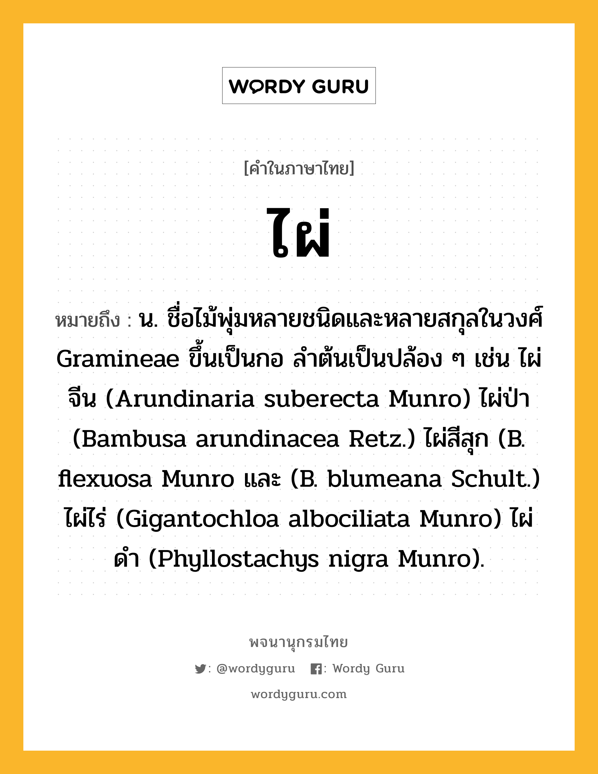 ไผ่ ความหมาย หมายถึงอะไร?, คำในภาษาไทย ไผ่ หมายถึง น. ชื่อไม้พุ่มหลายชนิดและหลายสกุลในวงศ์ Gramineae ขึ้นเป็นกอ ลําต้นเป็นปล้อง ๆ เช่น ไผ่จีน (Arundinaria suberecta Munro) ไผ่ป่า (Bambusa arundinacea Retz.) ไผ่สีสุก (B. flexuosa Munro และ (B. blumeana Schult.) ไผ่ไร่ (Gigantochloa albociliata Munro) ไผ่ดํา (Phyllostachys nigra Munro).