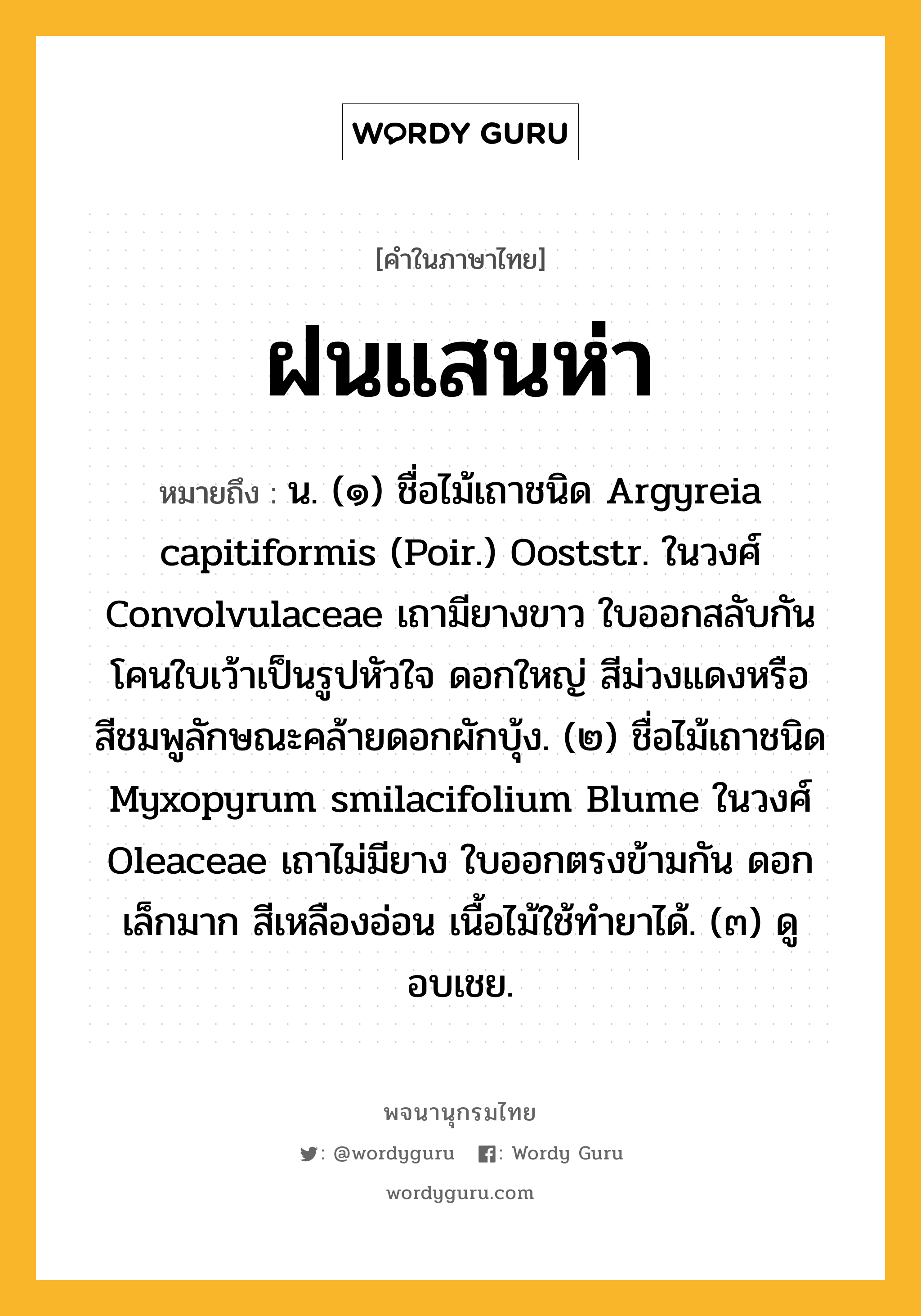 ฝนแสนห่า ความหมาย หมายถึงอะไร?, คำในภาษาไทย ฝนแสนห่า หมายถึง น. (๑) ชื่อไม้เถาชนิด Argyreia capitiformis (Poir.) Ooststr. ในวงศ์ Convolvulaceae เถามียางขาว ใบออกสลับกัน โคนใบเว้าเป็นรูปหัวใจ ดอกใหญ่ สีม่วงแดงหรือสีชมพูลักษณะคล้ายดอกผักบุ้ง. (๒) ชื่อไม้เถาชนิด Myxopyrum smilacifolium Blume ในวงศ์ Oleaceae เถาไม่มียาง ใบออกตรงข้ามกัน ดอกเล็กมาก สีเหลืองอ่อน เนื้อไม้ใช้ทํายาได้. (๓) ดู อบเชย.