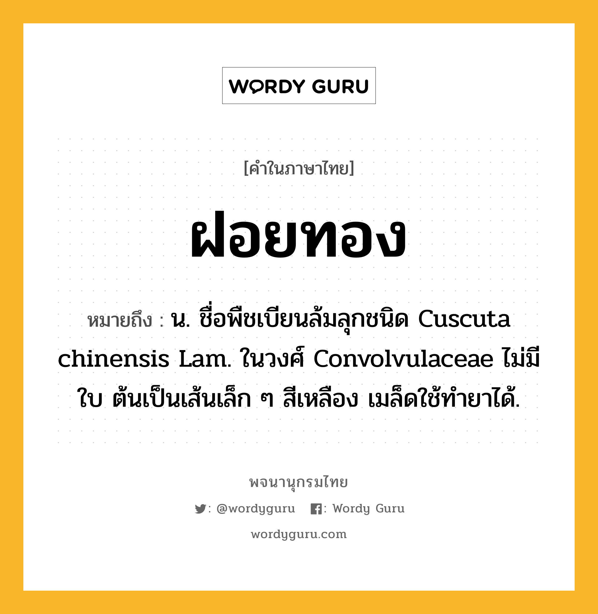 ฝอยทอง ความหมาย หมายถึงอะไร?, คำในภาษาไทย ฝอยทอง หมายถึง น. ชื่อพืชเบียนล้มลุกชนิด Cuscuta chinensis Lam. ในวงศ์ Convolvulaceae ไม่มีใบ ต้นเป็นเส้นเล็ก ๆ สีเหลือง เมล็ดใช้ทํายาได้.