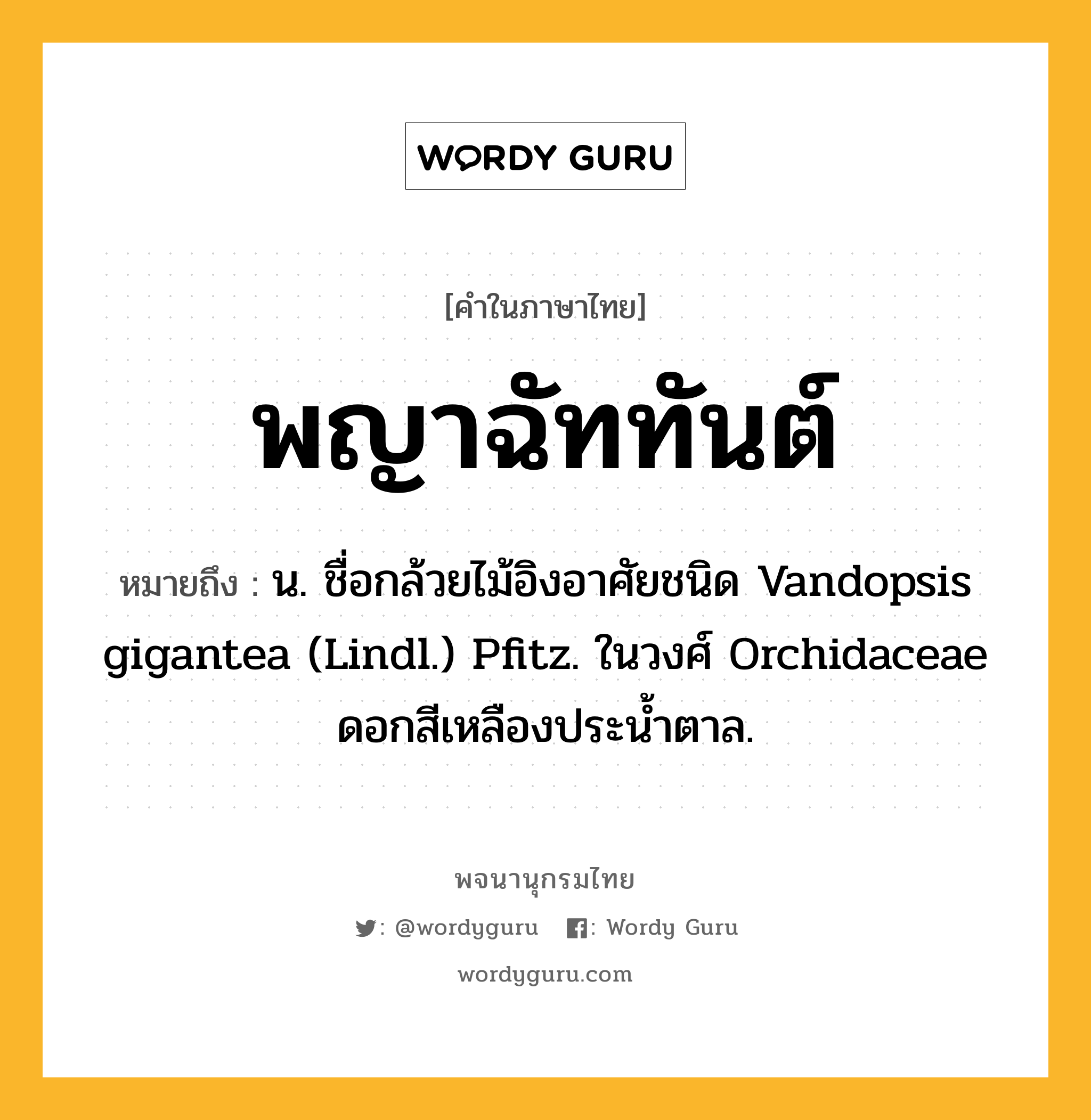 พญาฉัททันต์ ความหมาย หมายถึงอะไร?, คำในภาษาไทย พญาฉัททันต์ หมายถึง น. ชื่อกล้วยไม้อิงอาศัยชนิด Vandopsis gigantea (Lindl.) Pfitz. ในวงศ์ Orchidaceae ดอกสีเหลืองประนํ้าตาล.