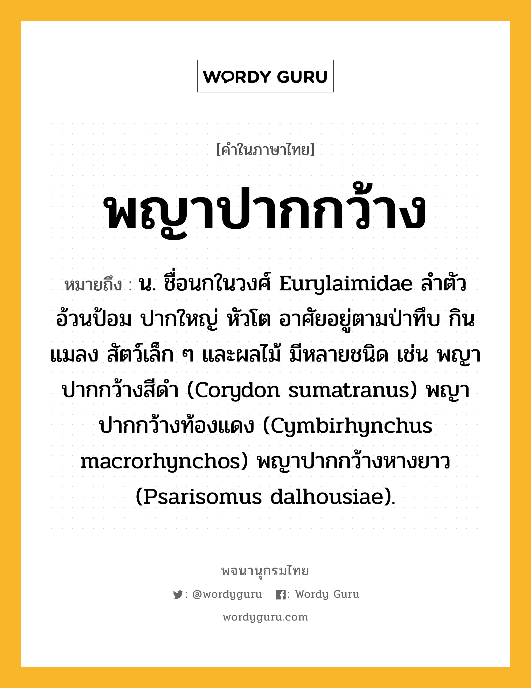 พญาปากกว้าง ความหมาย หมายถึงอะไร?, คำในภาษาไทย พญาปากกว้าง หมายถึง น. ชื่อนกในวงศ์ Eurylaimidae ลําตัวอ้วนป้อม ปากใหญ่ หัวโต อาศัยอยู่ตามป่าทึบ กินแมลง สัตว์เล็ก ๆ และผลไม้ มีหลายชนิด เช่น พญาปากกว้างสีดํา (Corydon sumatranus) พญาปากกว้างท้องแดง (Cymbirhynchus macrorhynchos) พญาปากกว้างหางยาว (Psarisomus dalhousiae).