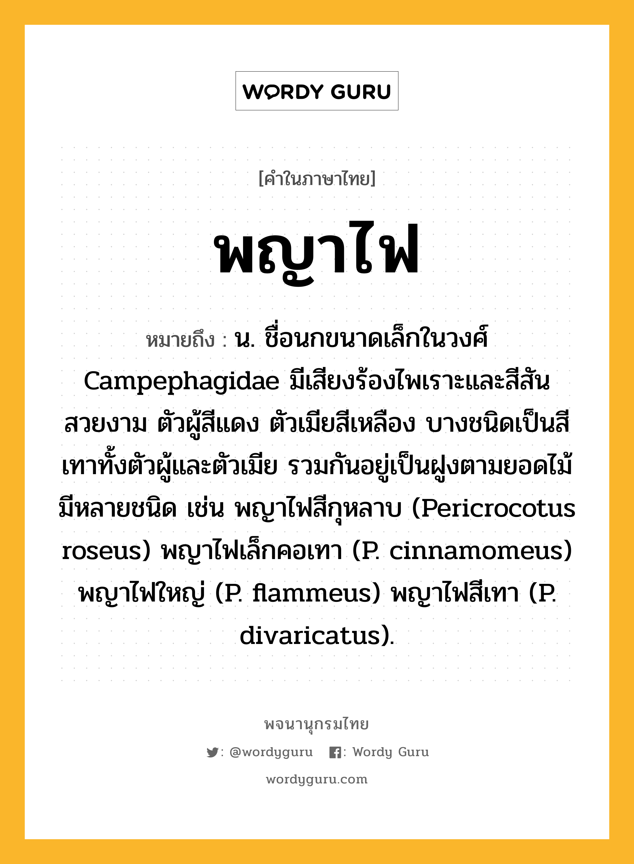 พญาไฟ ความหมาย หมายถึงอะไร?, คำในภาษาไทย พญาไฟ หมายถึง น. ชื่อนกขนาดเล็กในวงศ์ Campephagidae มีเสียงร้องไพเราะและสีสันสวยงาม ตัวผู้สีแดง ตัวเมียสีเหลือง บางชนิดเป็นสีเทาทั้งตัวผู้และตัวเมีย รวมกันอยู่เป็นฝูงตามยอดไม้ มีหลายชนิด เช่น พญาไฟสีกุหลาบ (Pericrocotus roseus) พญาไฟเล็กคอเทา (P. cinnamomeus) พญาไฟใหญ่ (P. flammeus) พญาไฟสีเทา (P. divaricatus).