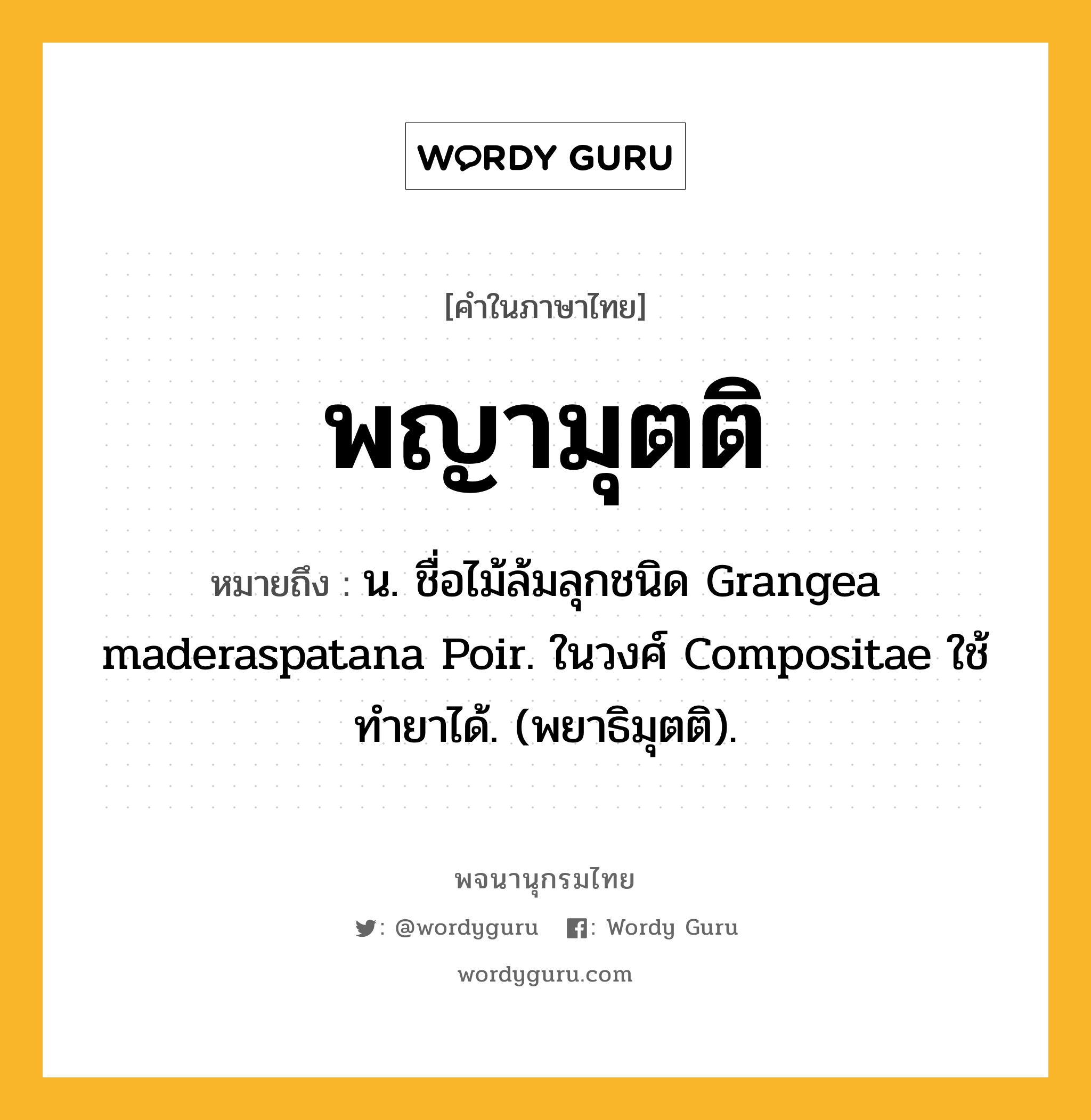 พญามุตติ ความหมาย หมายถึงอะไร?, คำในภาษาไทย พญามุตติ หมายถึง น. ชื่อไม้ล้มลุกชนิด Grangea maderaspatana Poir. ในวงศ์ Compositae ใช้ทํายาได้. (พยาธิมุตติ).