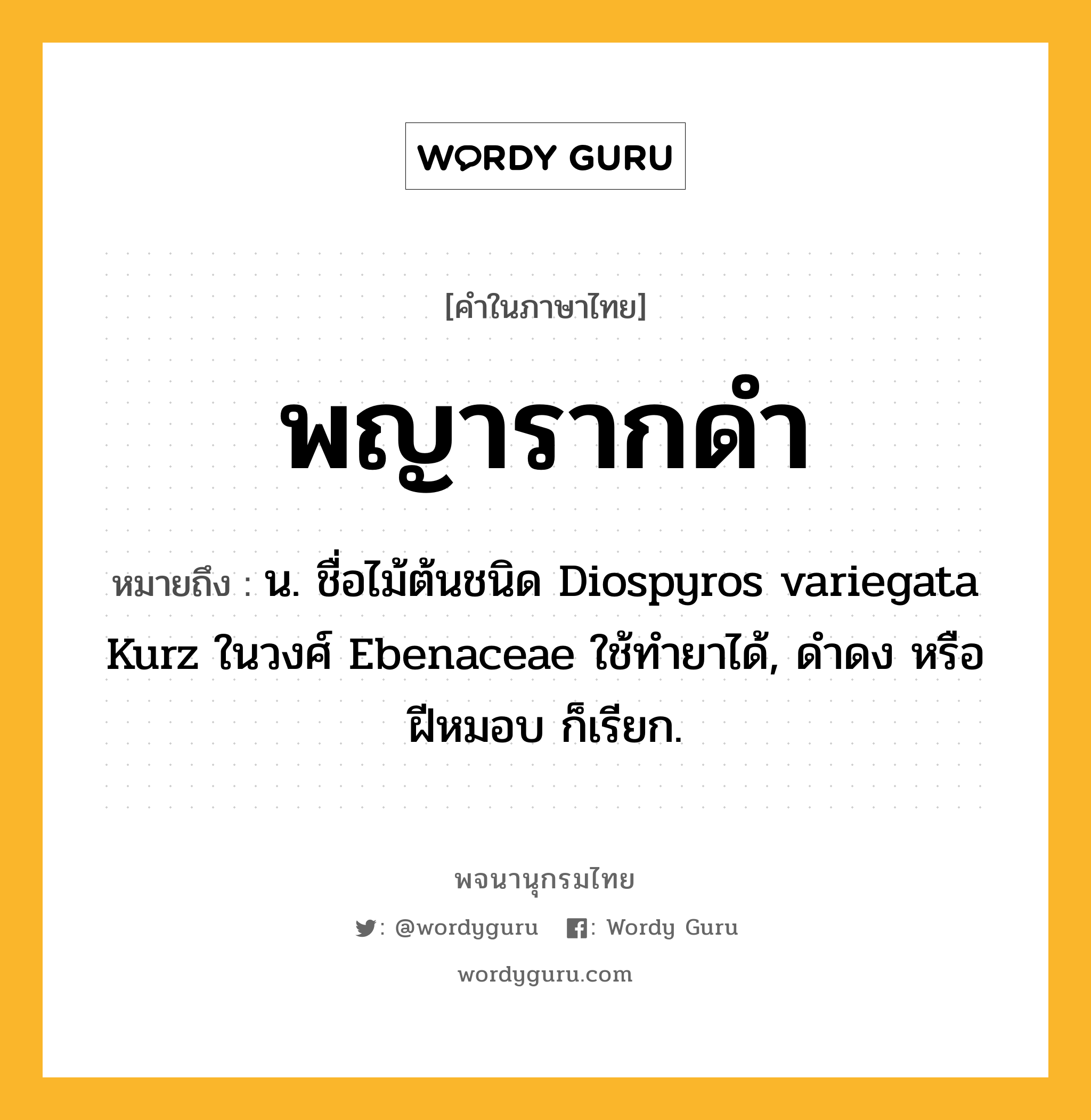 พญารากดำ ความหมาย หมายถึงอะไร?, คำในภาษาไทย พญารากดำ หมายถึง น. ชื่อไม้ต้นชนิด Diospyros variegata Kurz ในวงศ์ Ebenaceae ใช้ทํายาได้, ดําดง หรือ ฝีหมอบ ก็เรียก.