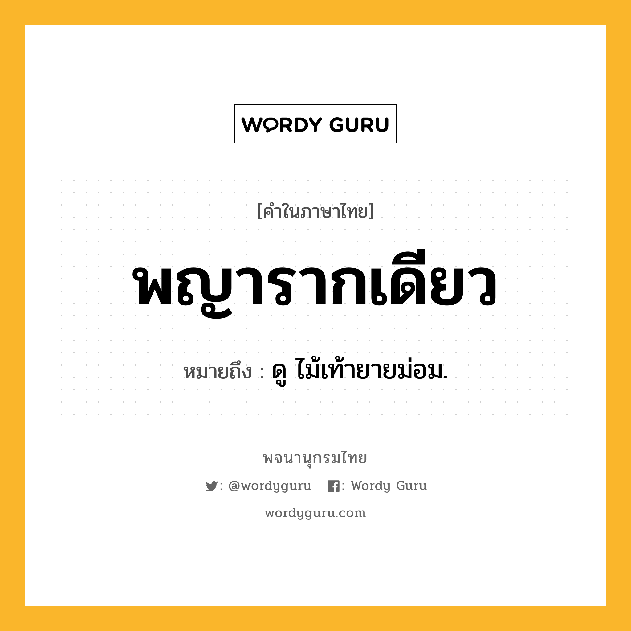 พญารากเดียว ความหมาย หมายถึงอะไร?, คำในภาษาไทย พญารากเดียว หมายถึง ดู ไม้เท้ายายม่อม.