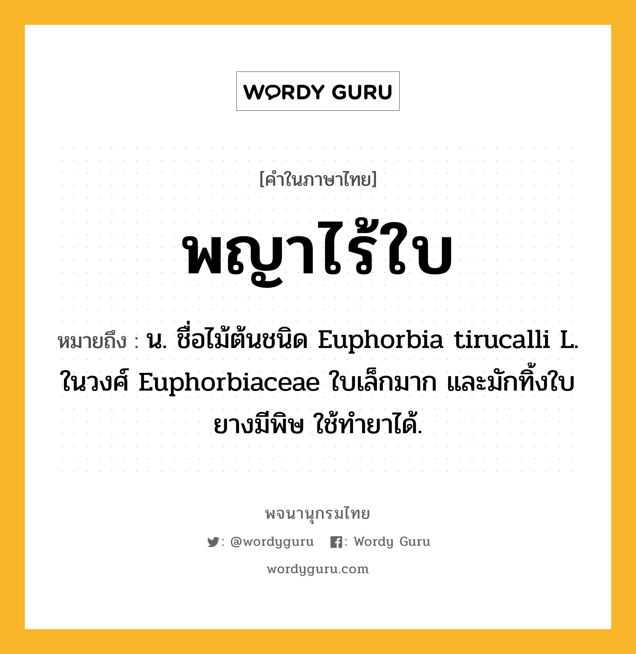 พญาไร้ใบ ความหมาย หมายถึงอะไร?, คำในภาษาไทย พญาไร้ใบ หมายถึง น. ชื่อไม้ต้นชนิด Euphorbia tirucalli L. ในวงศ์ Euphorbiaceae ใบเล็กมาก และมักทิ้งใบ ยางมีพิษ ใช้ทํายาได้.