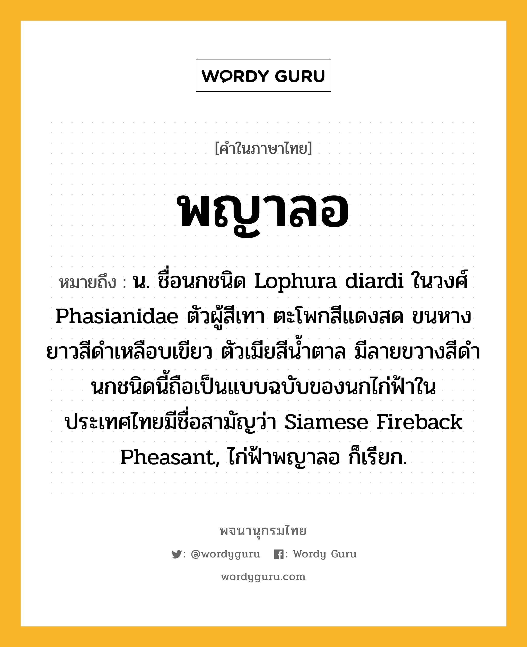 พญาลอ ความหมาย หมายถึงอะไร?, คำในภาษาไทย พญาลอ หมายถึง น. ชื่อนกชนิด Lophura diardi ในวงศ์ Phasianidae ตัวผู้สีเทา ตะโพกสีแดงสด ขนหางยาวสีดําเหลือบเขียว ตัวเมียสีนํ้าตาล มีลายขวางสีดํา นกชนิดนี้ถือเป็นแบบฉบับของนกไก่ฟ้าในประเทศไทยมีชื่อสามัญว่า Siamese Fireback Pheasant, ไก่ฟ้าพญาลอ ก็เรียก.