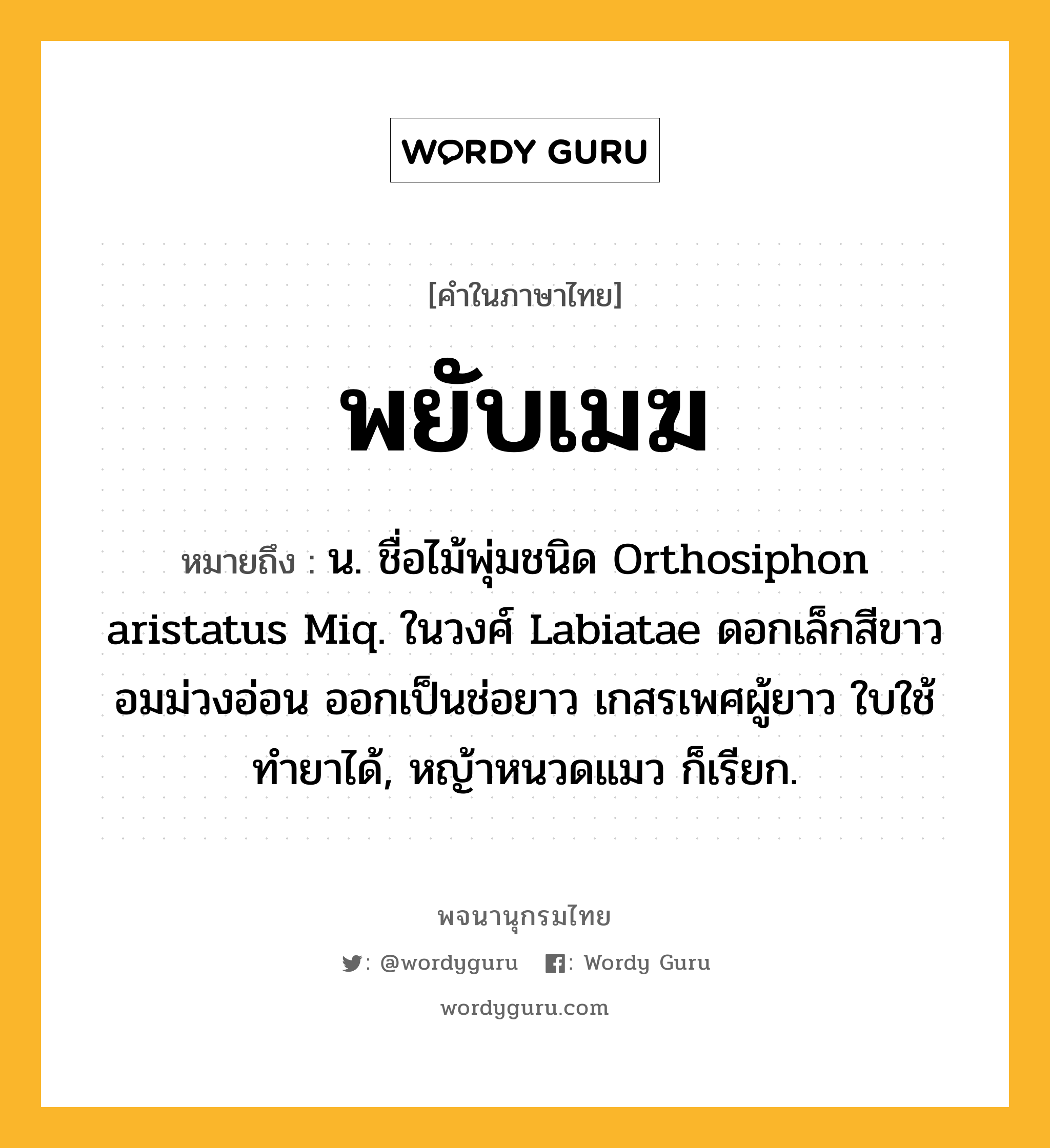 พยับเมฆ ความหมาย หมายถึงอะไร?, คำในภาษาไทย พยับเมฆ หมายถึง น. ชื่อไม้พุ่มชนิด Orthosiphon aristatus Miq. ในวงศ์ Labiatae ดอกเล็กสีขาวอมม่วงอ่อน ออกเป็นช่อยาว เกสรเพศผู้ยาว ใบใช้ทํายาได้, หญ้าหนวดแมว ก็เรียก.