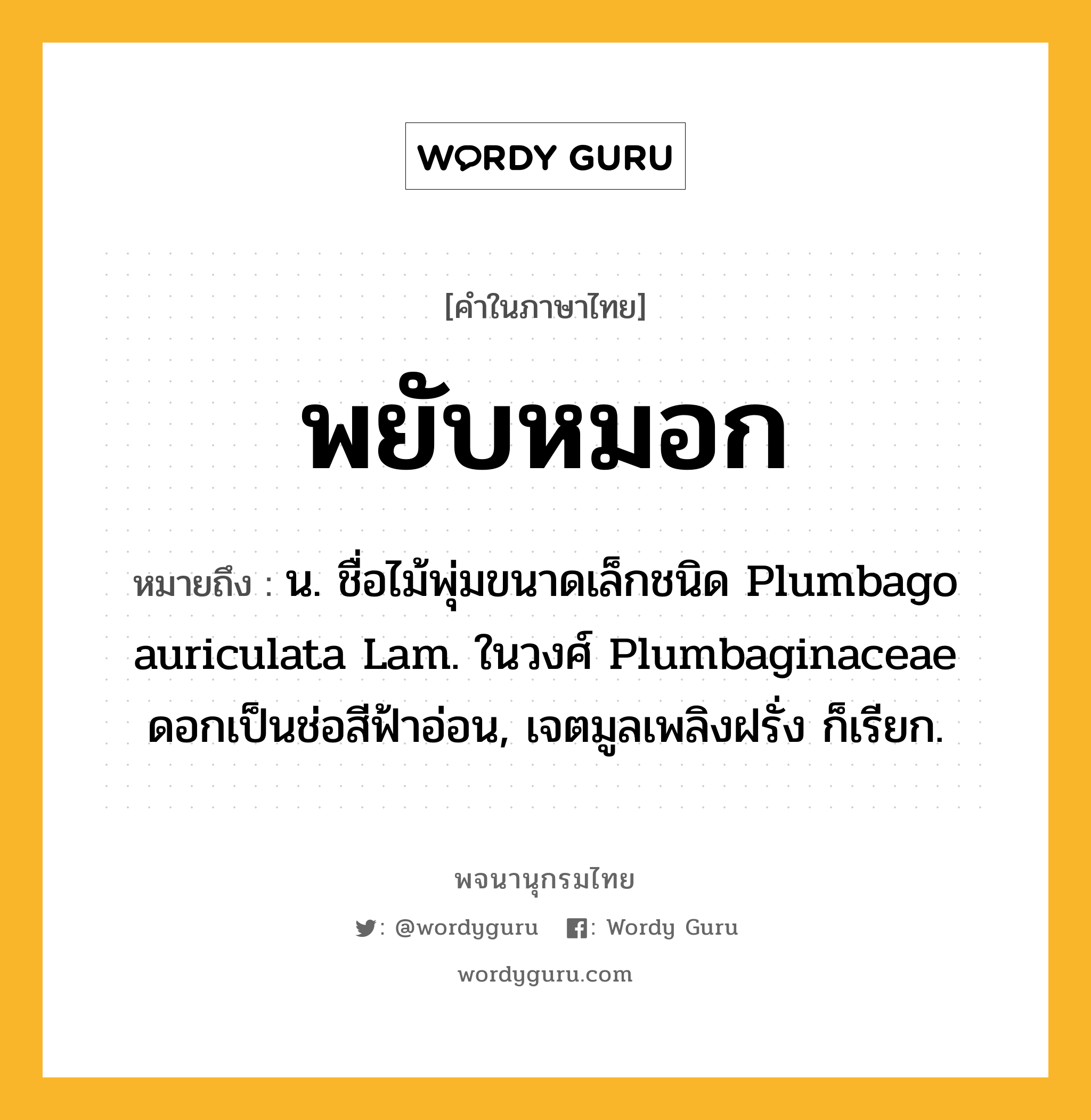 พยับหมอก ความหมาย หมายถึงอะไร?, คำในภาษาไทย พยับหมอก หมายถึง น. ชื่อไม้พุ่มขนาดเล็กชนิด Plumbago auriculata Lam. ในวงศ์ Plumbaginaceae ดอกเป็นช่อสีฟ้าอ่อน, เจตมูลเพลิงฝรั่ง ก็เรียก.