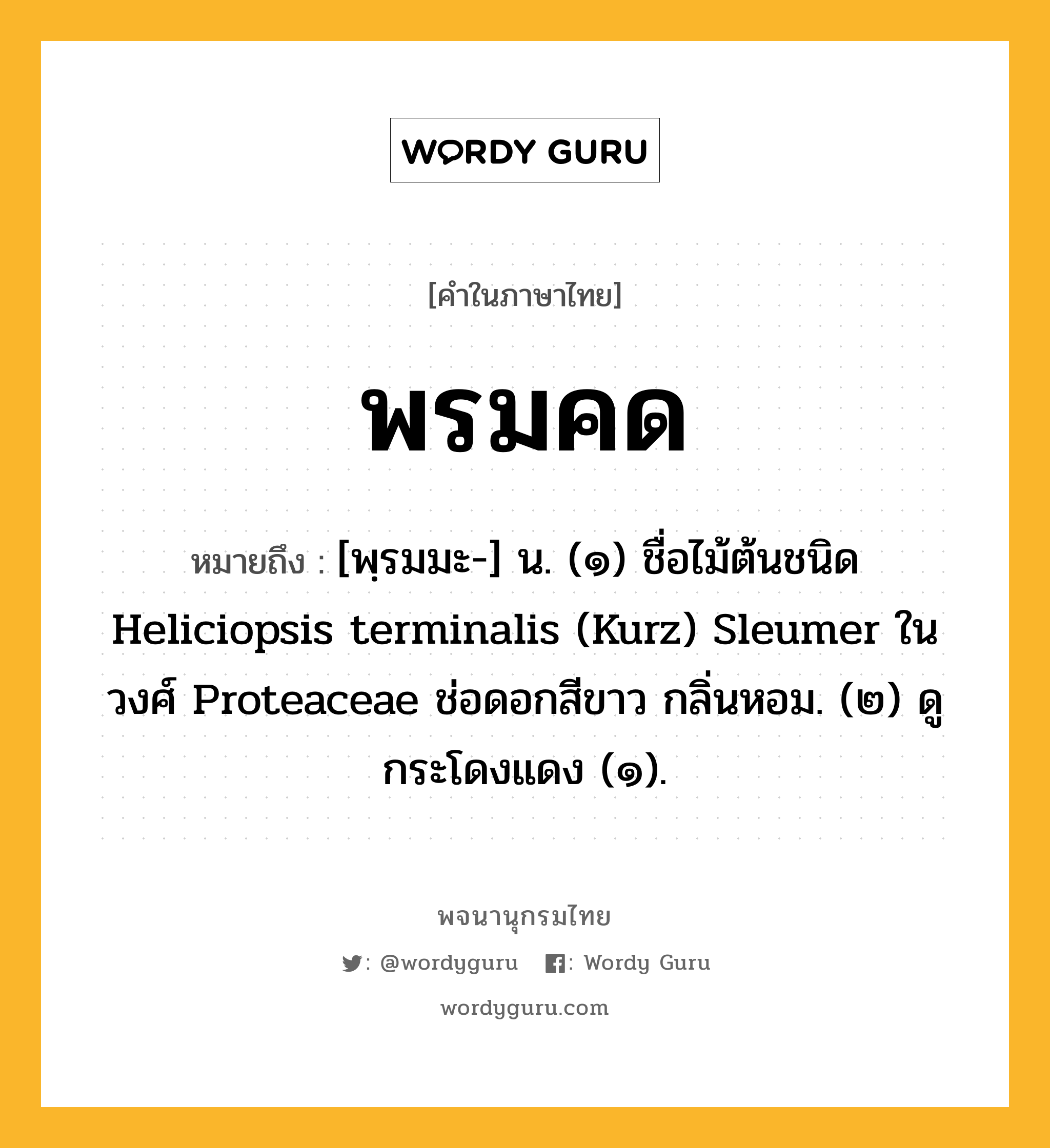 พรมคด ความหมาย หมายถึงอะไร?, คำในภาษาไทย พรมคด หมายถึง [พฺรมมะ-] น. (๑) ชื่อไม้ต้นชนิด Heliciopsis terminalis (Kurz) Sleumer ในวงศ์ Proteaceae ช่อดอกสีขาว กลิ่นหอม. (๒) ดู กระโดงแดง (๑).