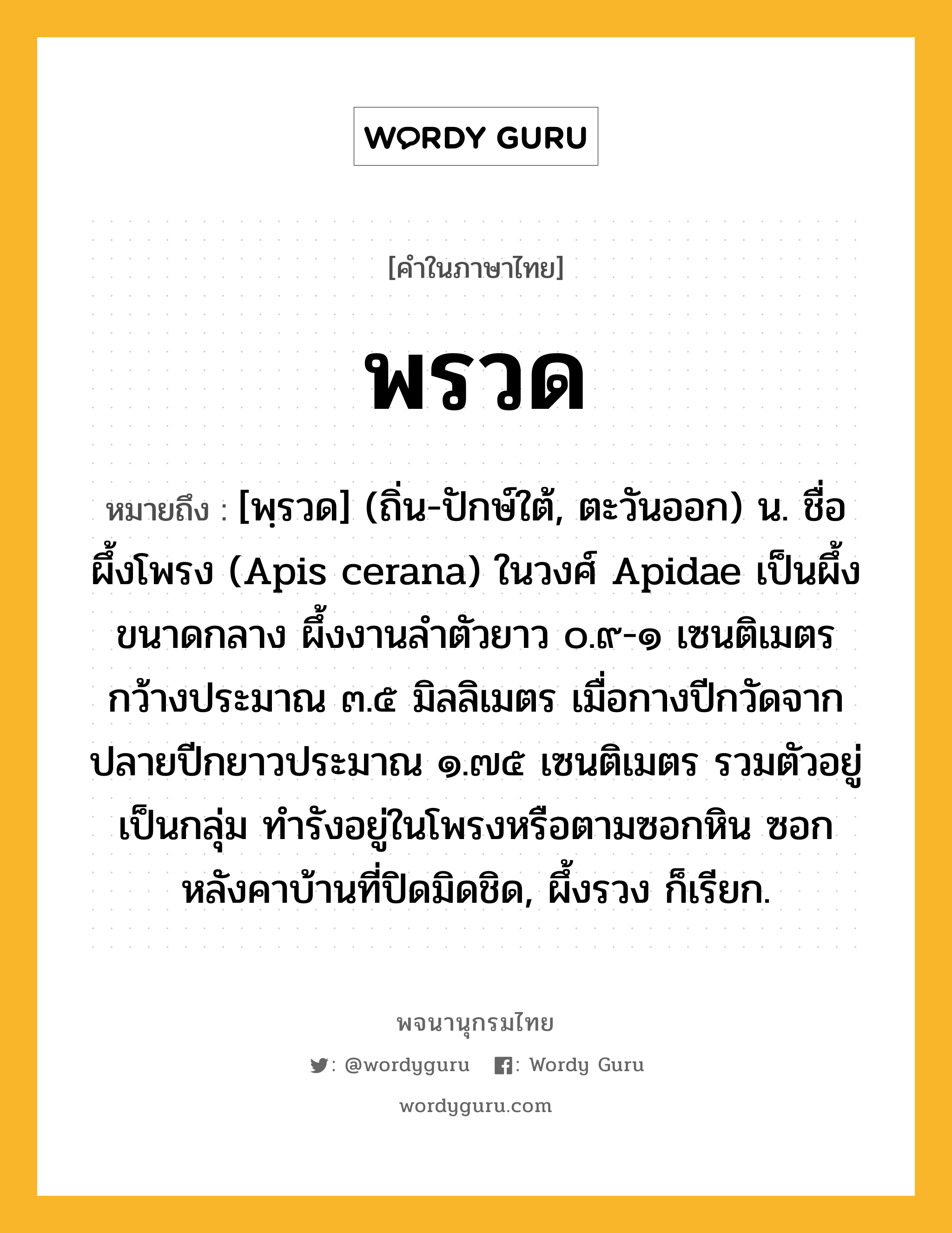 พรวด ความหมาย หมายถึงอะไร?, คำในภาษาไทย พรวด หมายถึง [พฺรวด] (ถิ่น-ปักษ์ใต้, ตะวันออก) น. ชื่อผึ้งโพรง (Apis cerana) ในวงศ์ Apidae เป็นผึ้งขนาดกลาง ผึ้งงานลําตัวยาว ๐.๙-๑ เซนติเมตร กว้างประมาณ ๓.๕ มิลลิเมตร เมื่อกางปีกวัดจากปลายปีกยาวประมาณ ๑.๗๕ เซนติเมตร รวมตัวอยู่เป็นกลุ่ม ทํารังอยู่ในโพรงหรือตามซอกหิน ซอกหลังคาบ้านที่ปิดมิดชิด, ผึ้งรวง ก็เรียก.