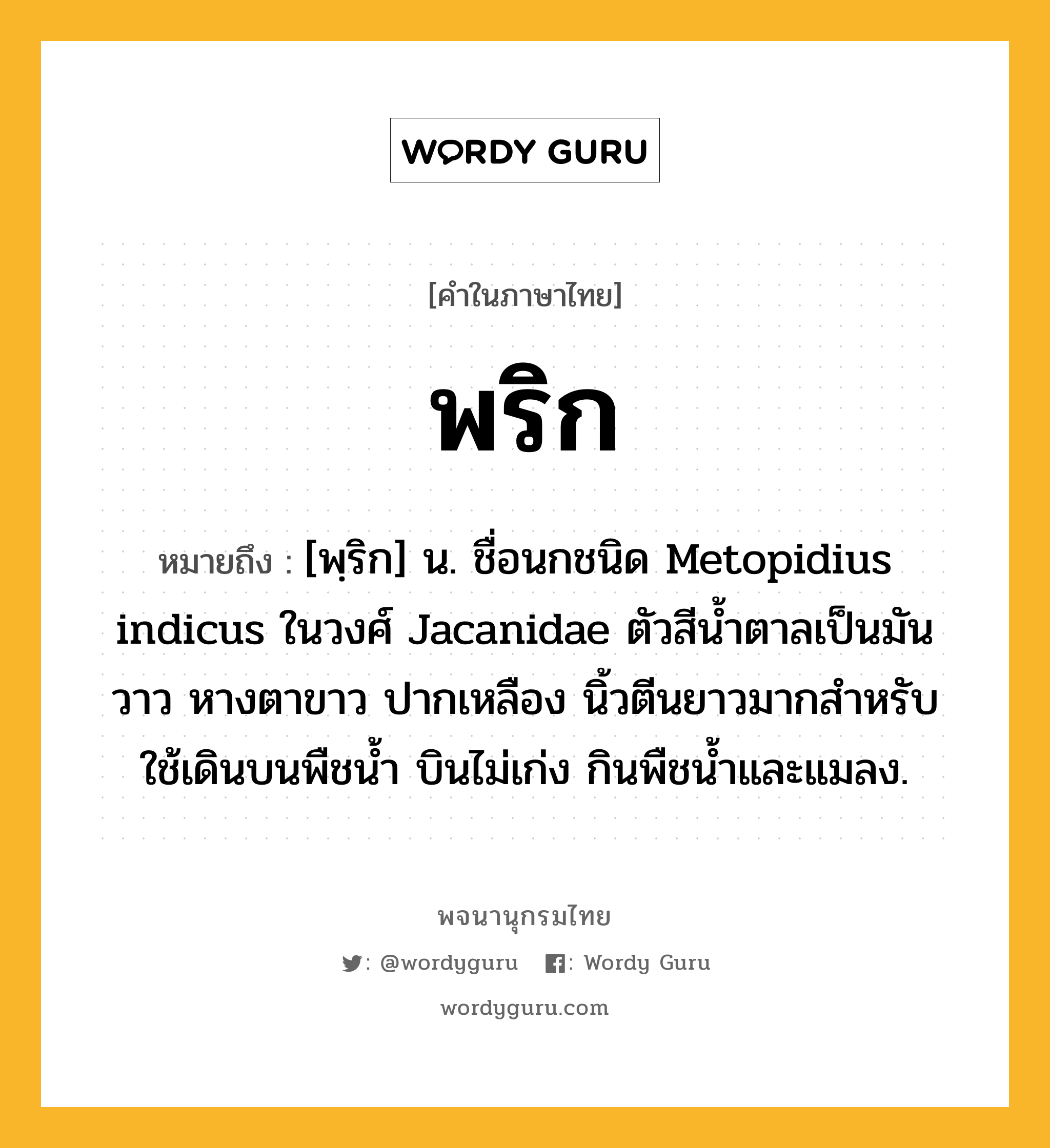 พริก ความหมาย หมายถึงอะไร?, คำในภาษาไทย พริก หมายถึง [พฺริก] น. ชื่อนกชนิด Metopidius indicus ในวงศ์ Jacanidae ตัวสีนํ้าตาลเป็นมันวาว หางตาขาว ปากเหลือง นิ้วตีนยาวมากสําหรับใช้เดินบนพืชนํ้า บินไม่เก่ง กินพืชนํ้าและแมลง.