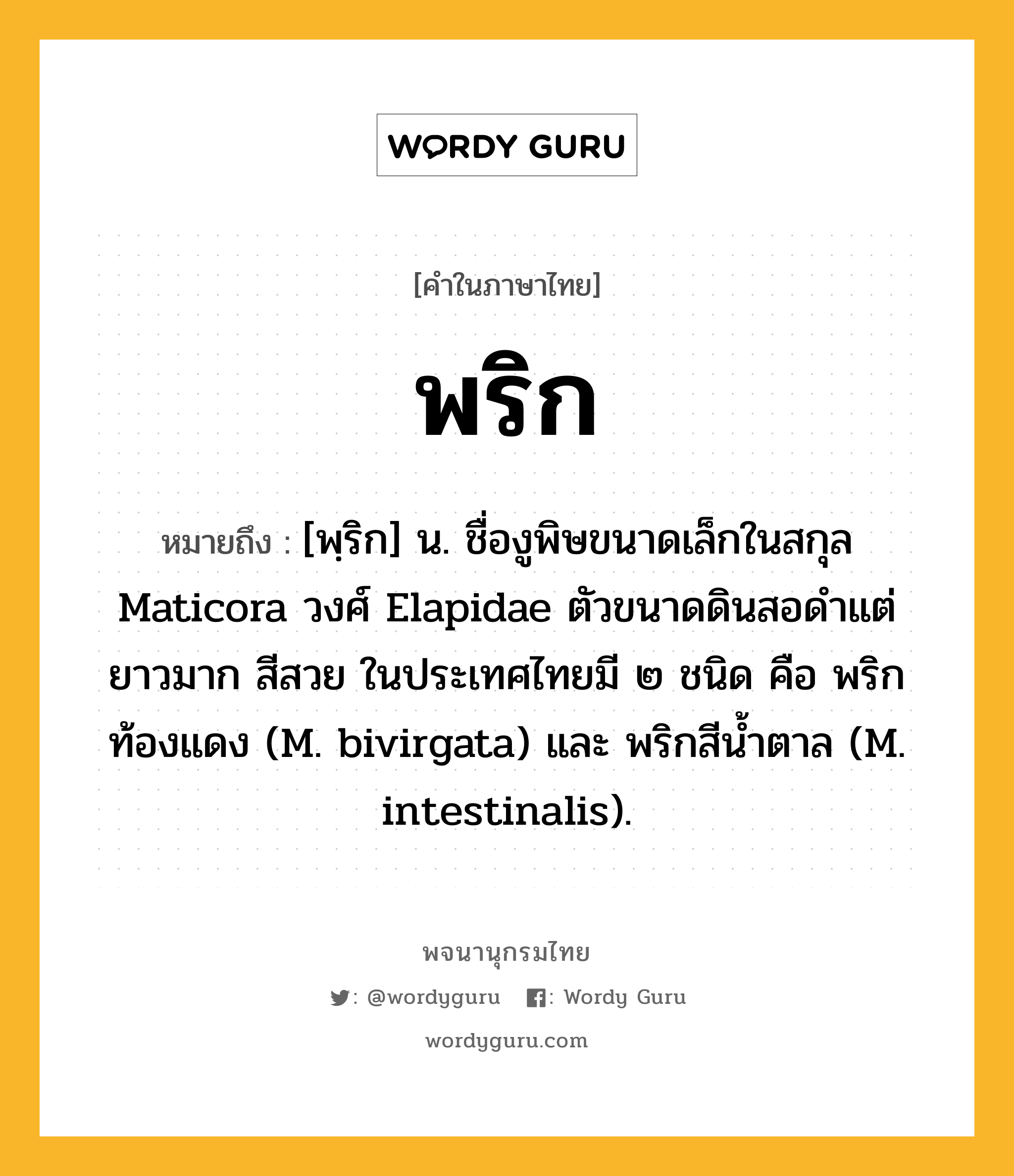 พริก ความหมาย หมายถึงอะไร?, คำในภาษาไทย พริก หมายถึง [พฺริก] น. ชื่องูพิษขนาดเล็กในสกุล Maticora วงศ์ Elapidae ตัวขนาดดินสอดําแต่ยาวมาก สีสวย ในประเทศไทยมี ๒ ชนิด คือ พริกท้องแดง (M. bivirgata) และ พริกสีนํ้าตาล (M. intestinalis).