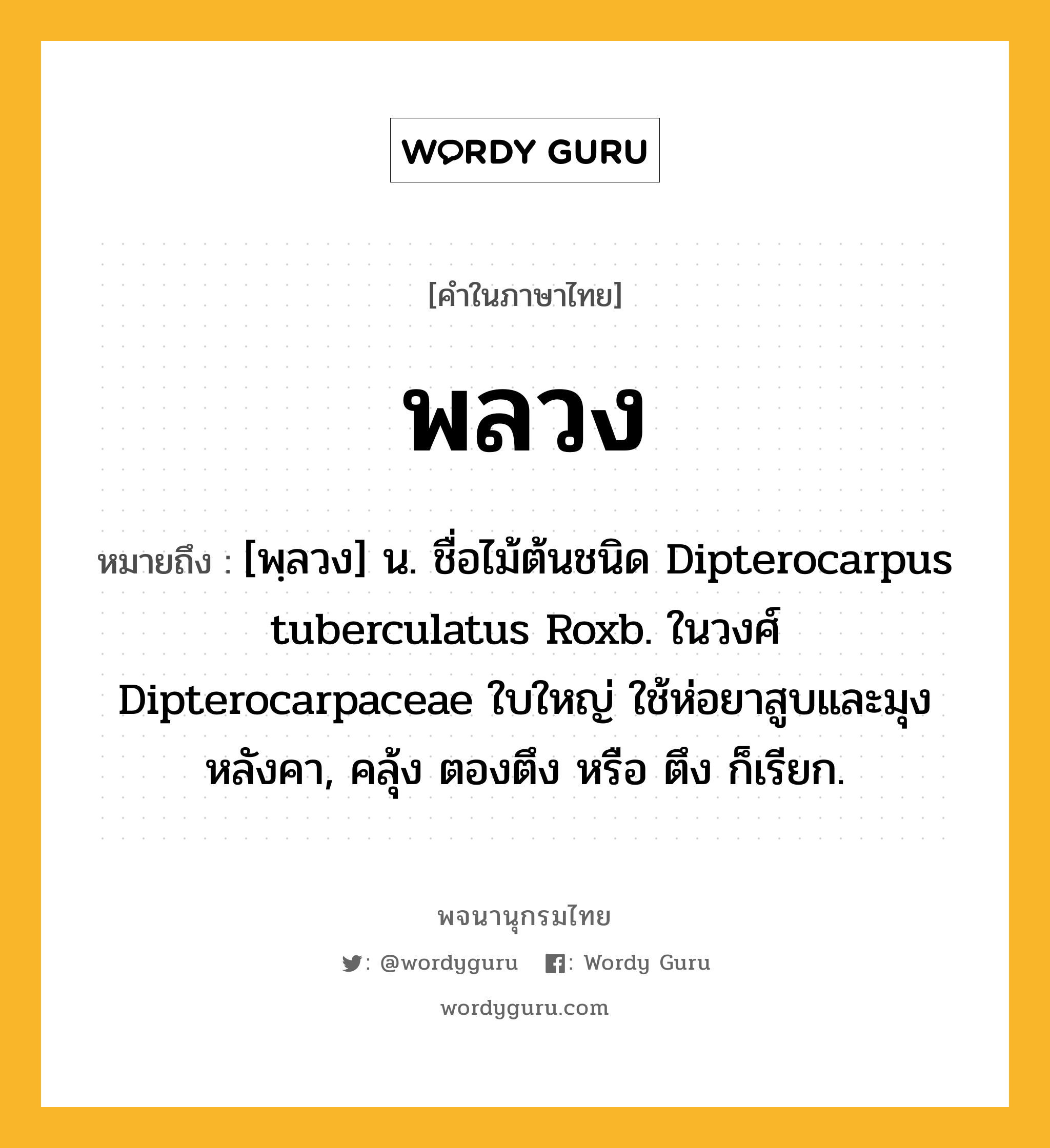 พลวง ความหมาย หมายถึงอะไร?, คำในภาษาไทย พลวง หมายถึง [พฺลวง] น. ชื่อไม้ต้นชนิด Dipterocarpus tuberculatus Roxb. ในวงศ์ Dipterocarpaceae ใบใหญ่ ใช้ห่อยาสูบและมุงหลังคา, คลุ้ง ตองตึง หรือ ตึง ก็เรียก.