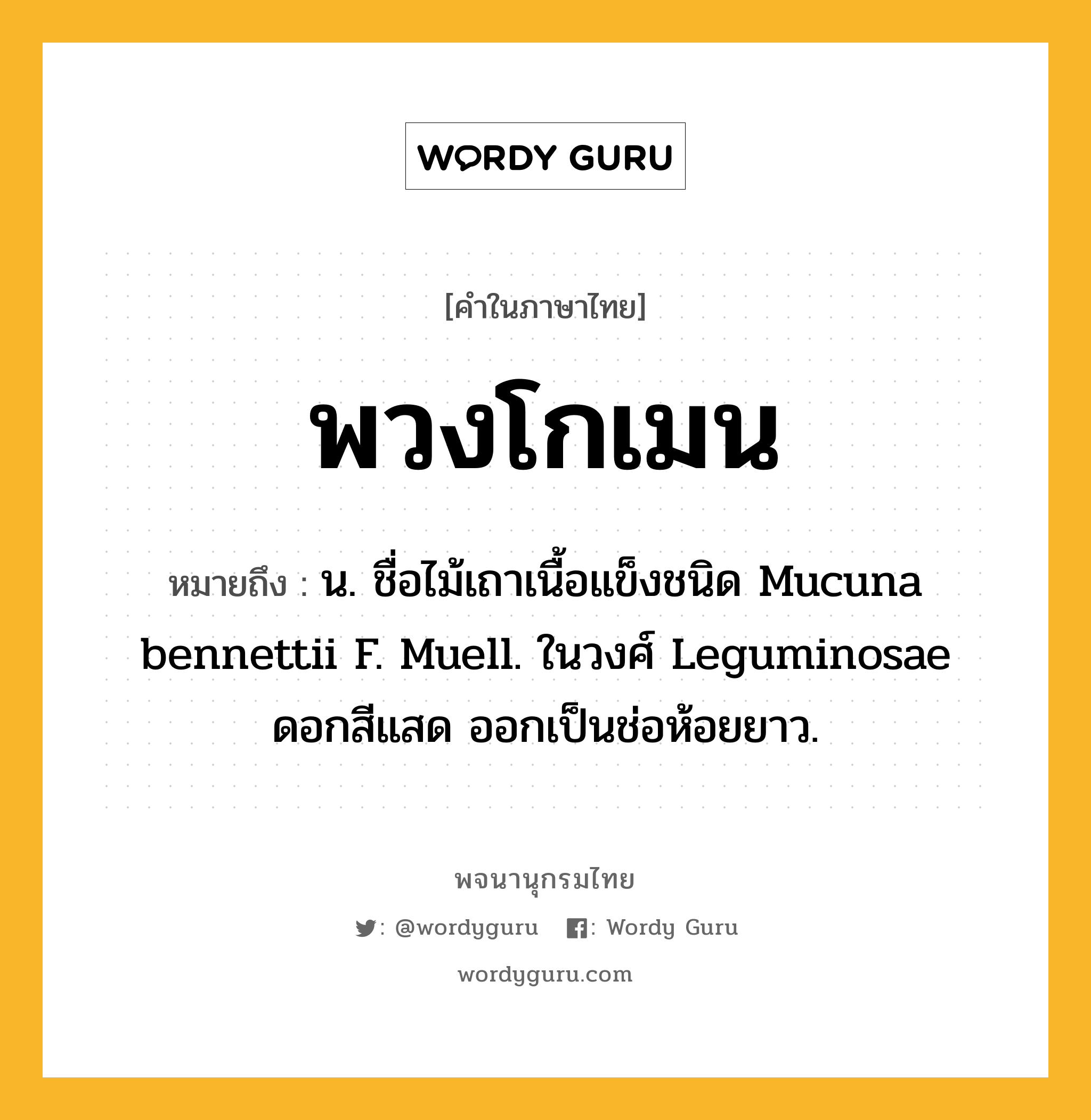 พวงโกเมน ความหมาย หมายถึงอะไร?, คำในภาษาไทย พวงโกเมน หมายถึง น. ชื่อไม้เถาเนื้อแข็งชนิด Mucuna bennettii F. Muell. ในวงศ์ Leguminosae ดอกสีแสด ออกเป็นช่อห้อยยาว.