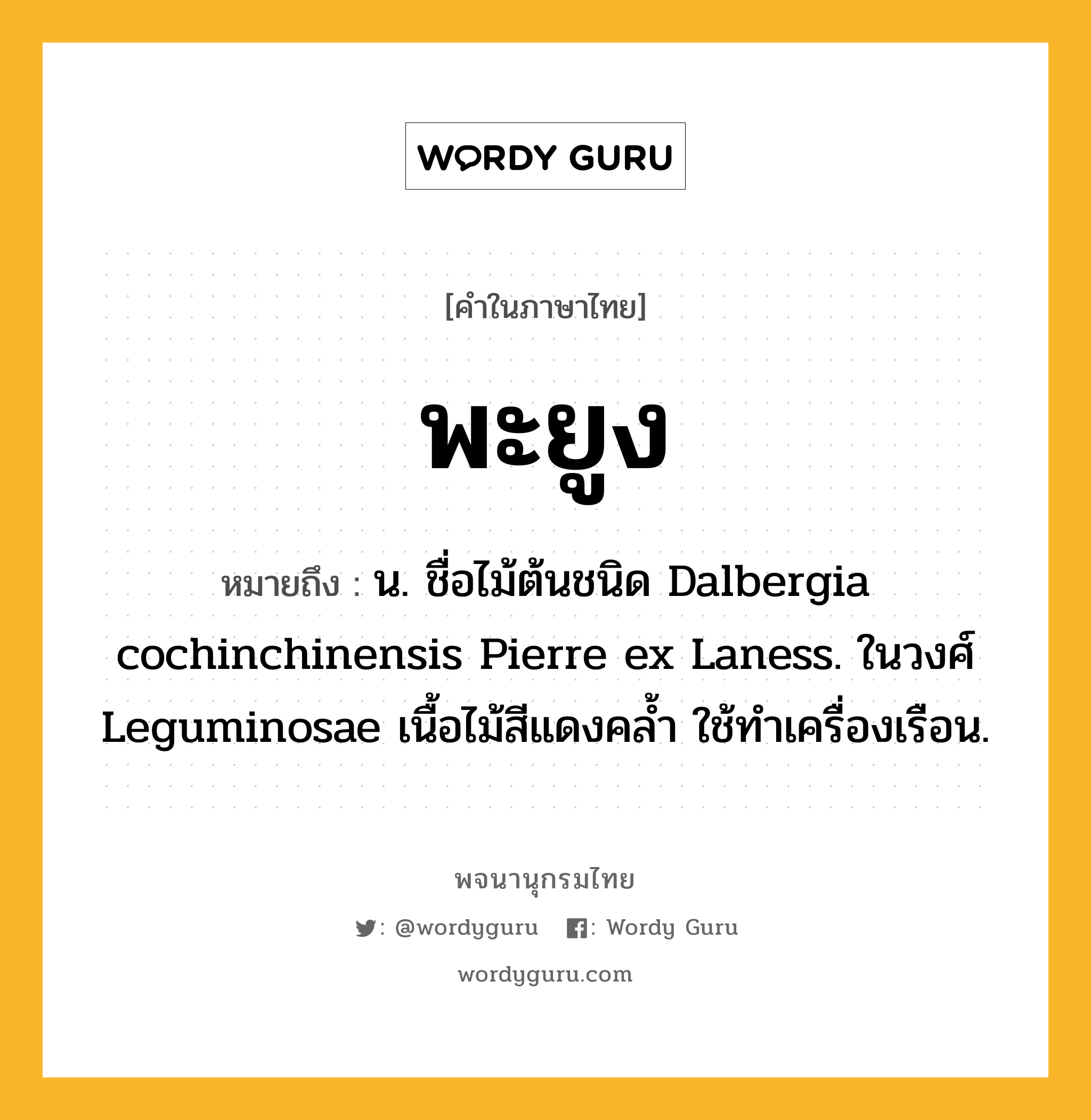 พะยูง ความหมาย หมายถึงอะไร?, คำในภาษาไทย พะยูง หมายถึง น. ชื่อไม้ต้นชนิด Dalbergia cochinchinensis Pierre ex Laness. ในวงศ์ Leguminosae เนื้อไม้สีแดงคลํ้า ใช้ทําเครื่องเรือน.