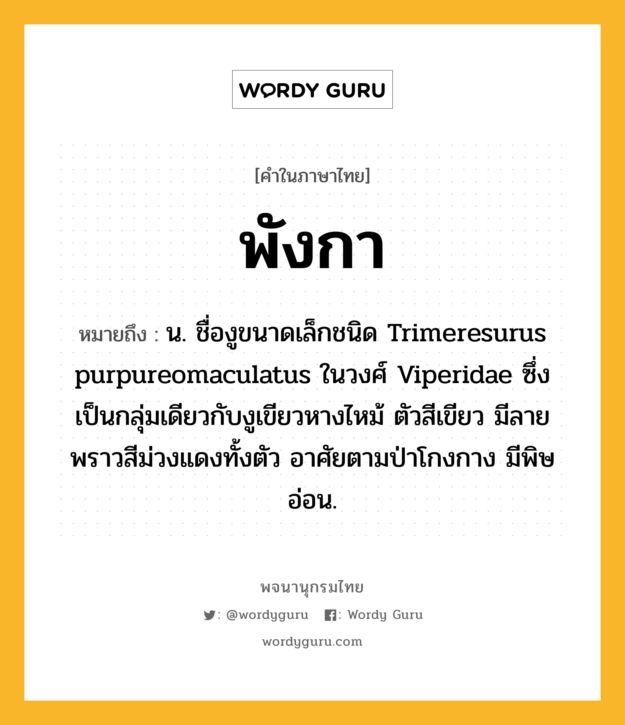 พังกา ความหมาย หมายถึงอะไร?, คำในภาษาไทย พังกา หมายถึง น. ชื่องูขนาดเล็กชนิด Trimeresurus purpureomaculatus ในวงศ์ Viperidae ซึ่งเป็นกลุ่มเดียวกับงูเขียวหางไหม้ ตัวสีเขียว มีลายพราวสีม่วงแดงทั้งตัว อาศัยตามป่าโกงกาง มีพิษอ่อน.