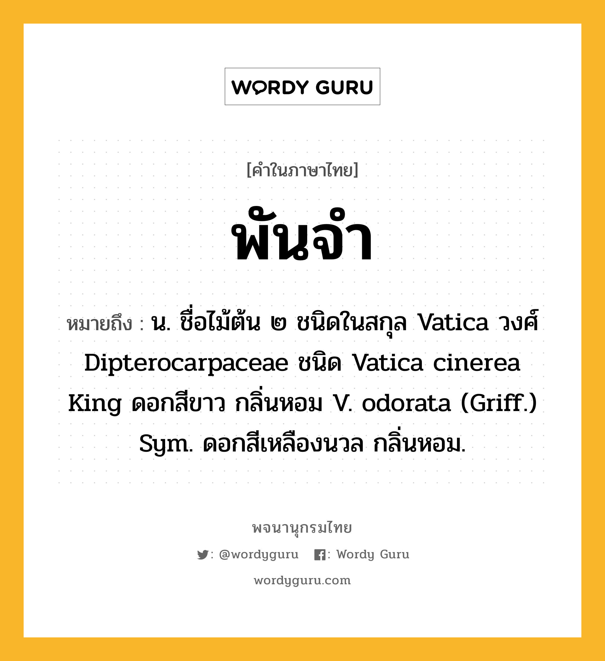 พันจำ ความหมาย หมายถึงอะไร?, คำในภาษาไทย พันจำ หมายถึง น. ชื่อไม้ต้น ๒ ชนิดในสกุล Vatica วงศ์ Dipterocarpaceae ชนิด Vatica cinerea King ดอกสีขาว กลิ่นหอม V. odorata (Griff.) Sym. ดอกสีเหลืองนวล กลิ่นหอม.