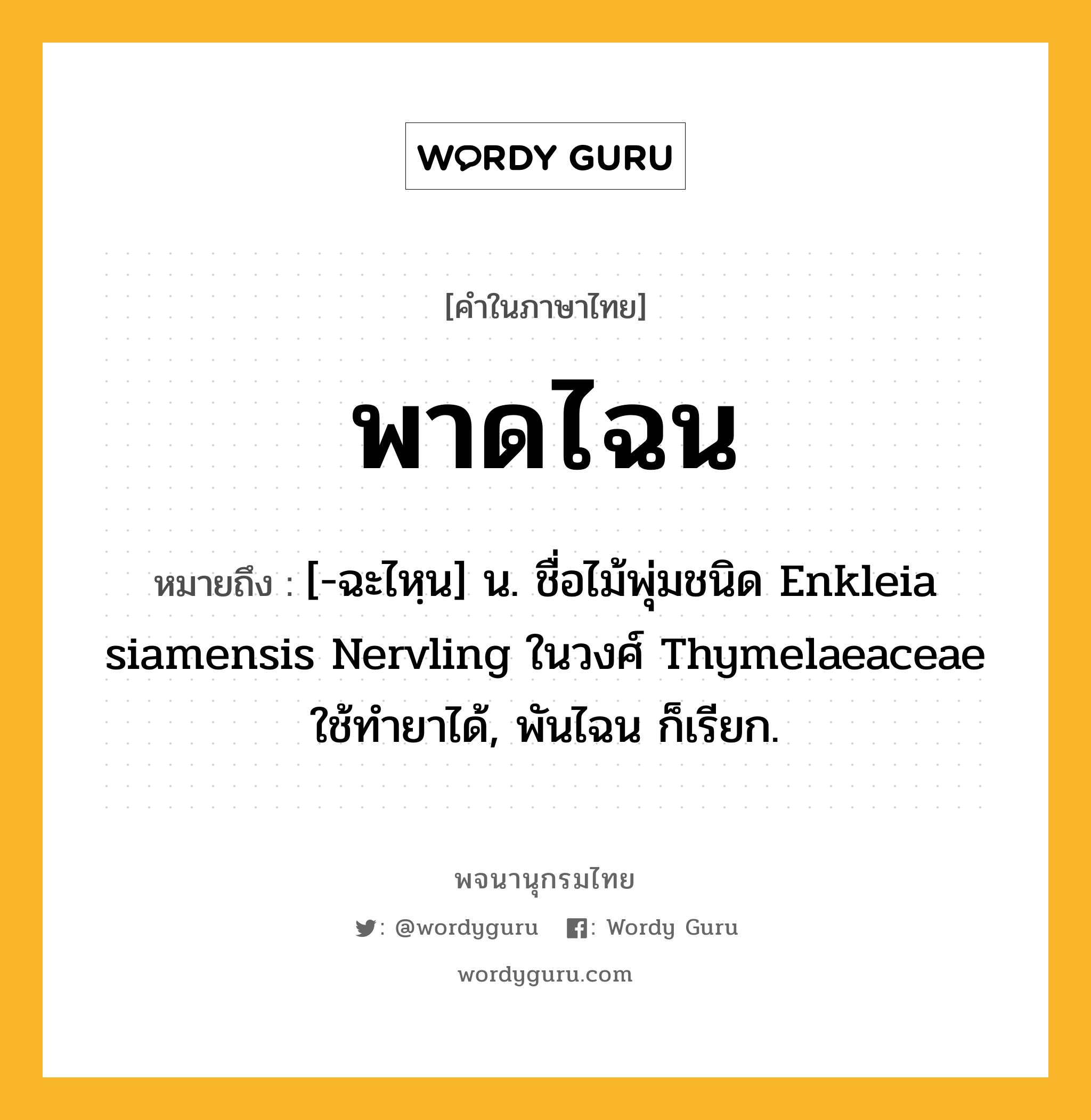 พาดไฉน ความหมาย หมายถึงอะไร?, คำในภาษาไทย พาดไฉน หมายถึง [-ฉะไหฺน] น. ชื่อไม้พุ่มชนิด Enkleia siamensis Nervling ในวงศ์ Thymelaeaceae ใช้ทํายาได้, พันไฉน ก็เรียก.