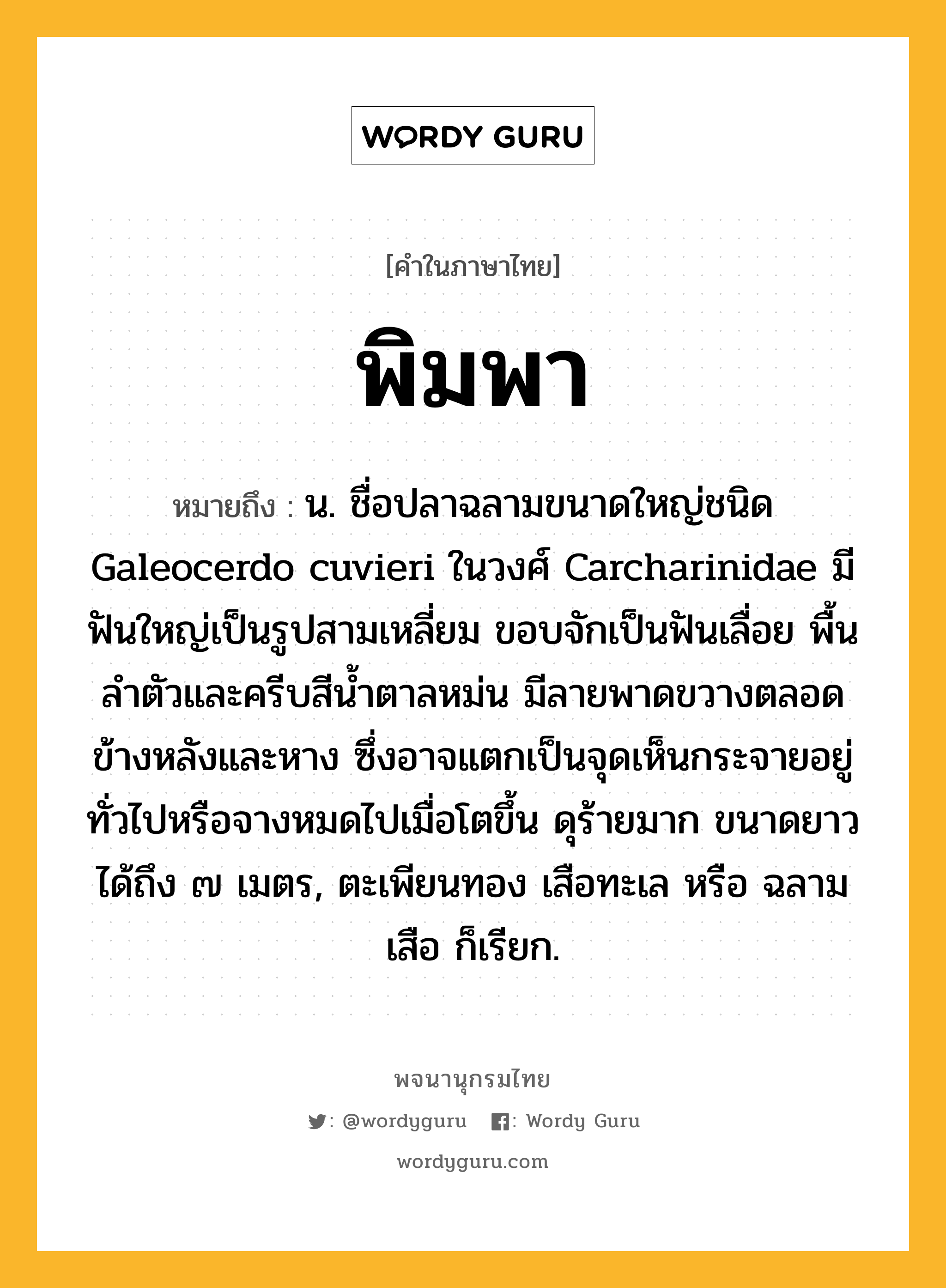 พิมพา ความหมาย หมายถึงอะไร?, คำในภาษาไทย พิมพา หมายถึง น. ชื่อปลาฉลามขนาดใหญ่ชนิด Galeocerdo cuvieri ในวงศ์ Carcharinidae มีฟันใหญ่เป็นรูปสามเหลี่ยม ขอบจักเป็นฟันเลื่อย พื้นลําตัวและครีบสีนํ้าตาลหม่น มีลายพาดขวางตลอดข้างหลังและหาง ซึ่งอาจแตกเป็นจุดเห็นกระจายอยู่ทั่วไปหรือจางหมดไปเมื่อโตขึ้น ดุร้ายมาก ขนาดยาวได้ถึง ๗ เมตร, ตะเพียนทอง เสือทะเล หรือ ฉลามเสือ ก็เรียก.