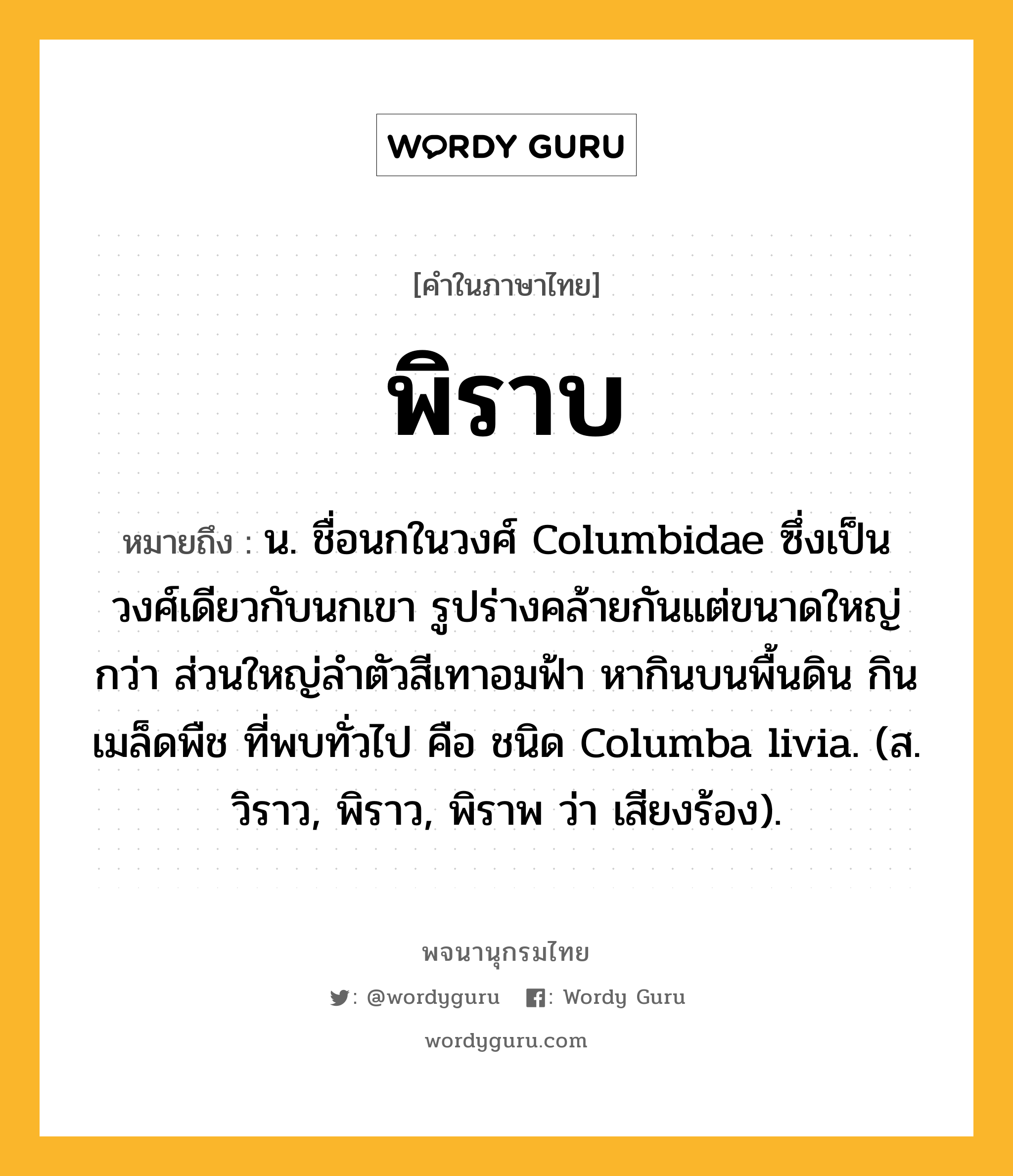 พิราบ ความหมาย หมายถึงอะไร?, คำในภาษาไทย พิราบ หมายถึง น. ชื่อนกในวงศ์ Columbidae ซึ่งเป็นวงศ์เดียวกับนกเขา รูปร่างคล้ายกันแต่ขนาดใหญ่กว่า ส่วนใหญ่ลําตัวสีเทาอมฟ้า หากินบนพื้นดิน กินเมล็ดพืช ที่พบทั่วไป คือ ชนิด Columba livia. (ส. วิราว, พิราว, พิราพ ว่า เสียงร้อง).